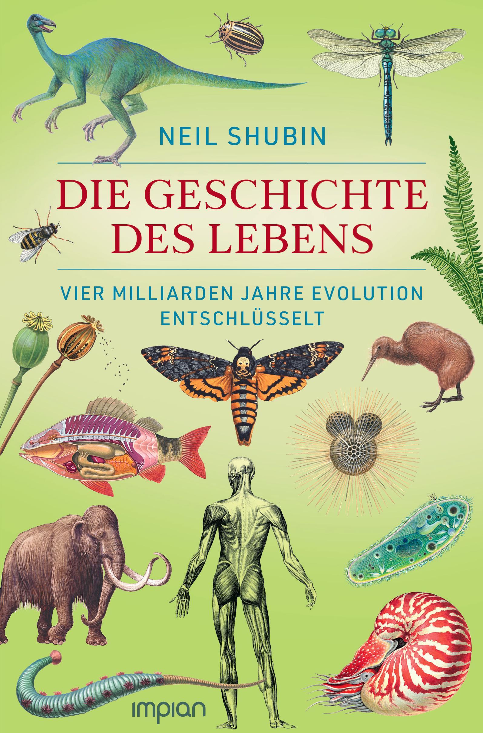 Vorderes Coverbild Die Geschichte des Lebens