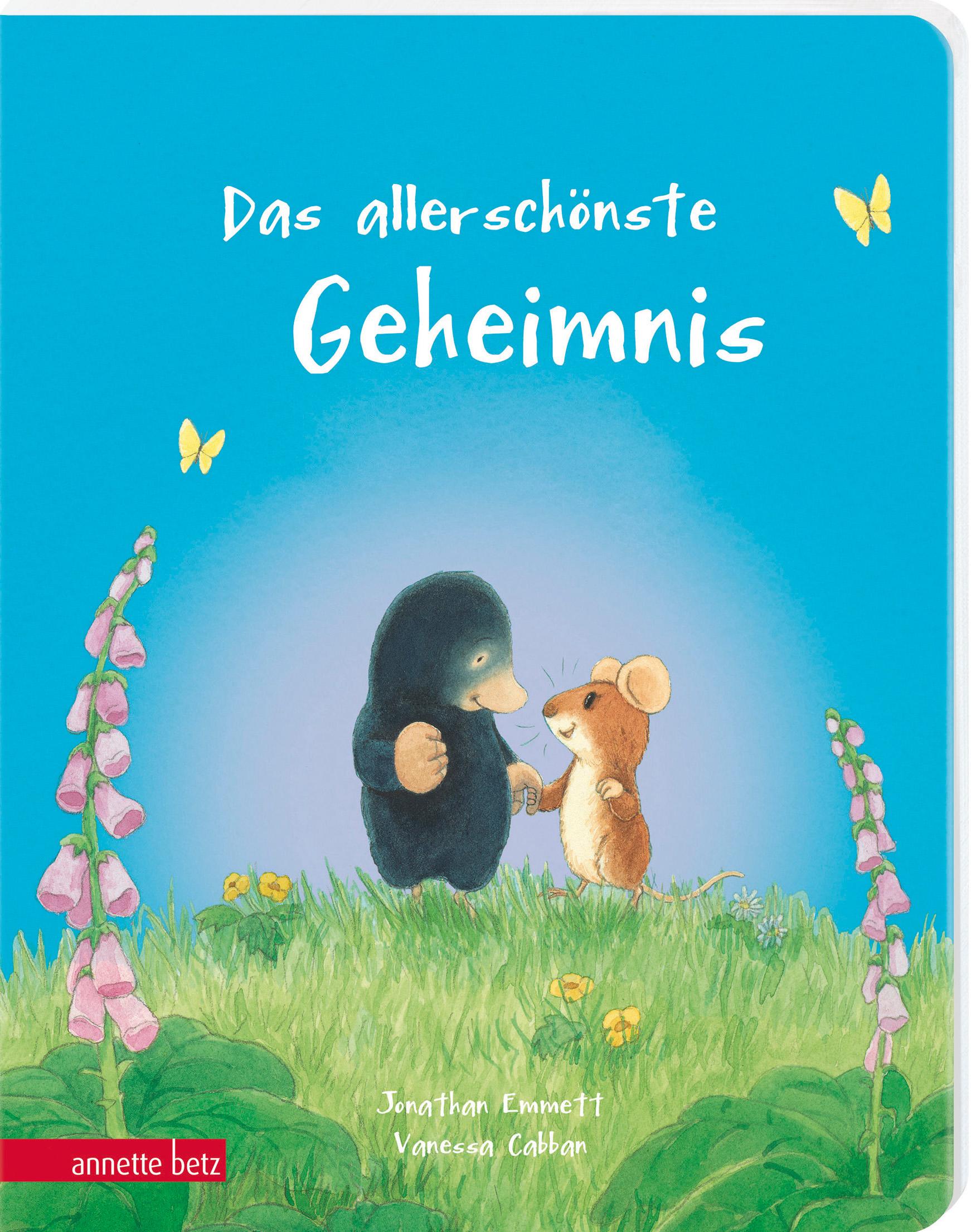 Vorderes Coverbild Das allerschönste Geheimnis - Ein liebevolles Pappbilderbuch über Freundschaft