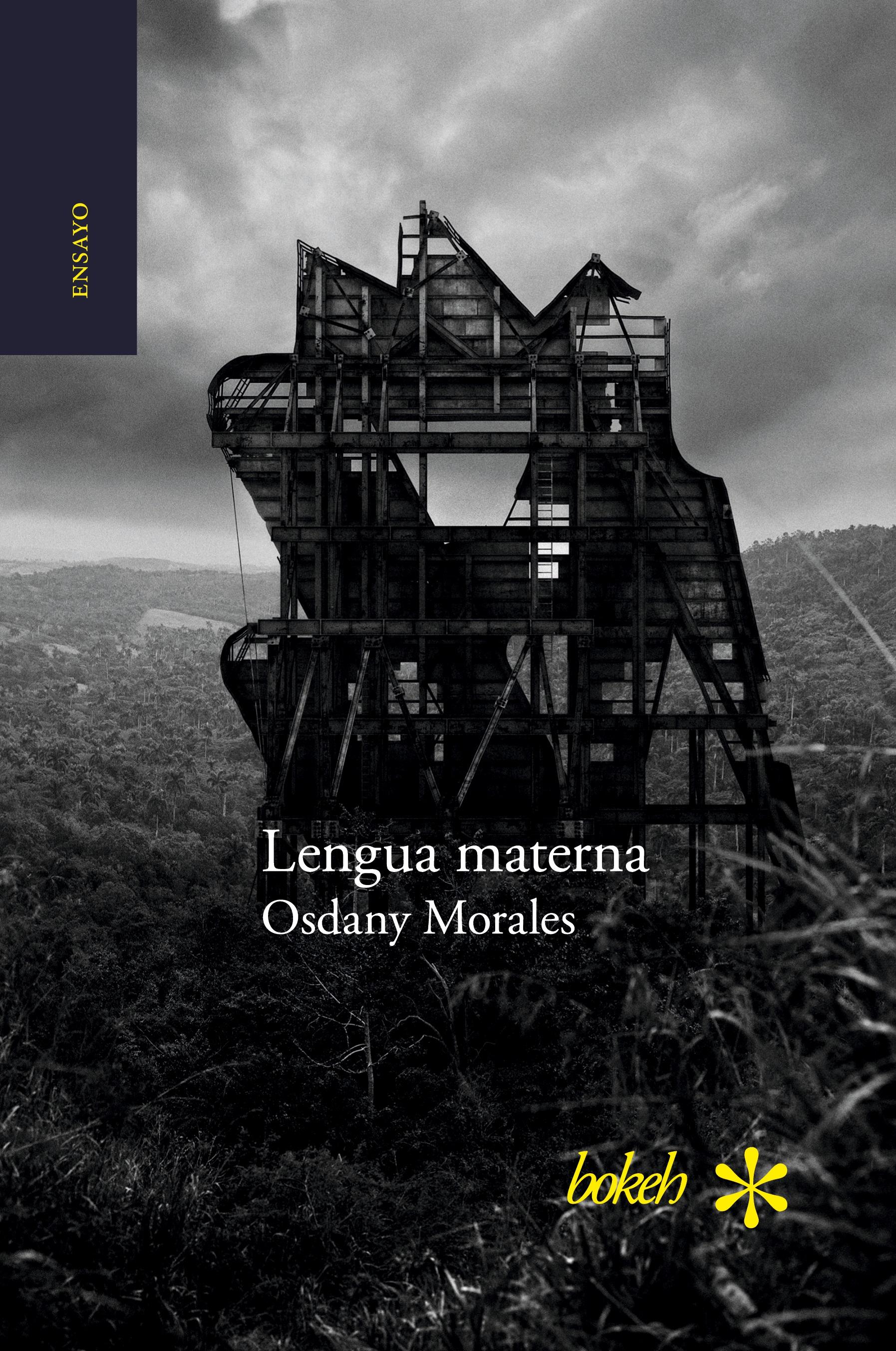 Vorderes Coverbild Lengua materna