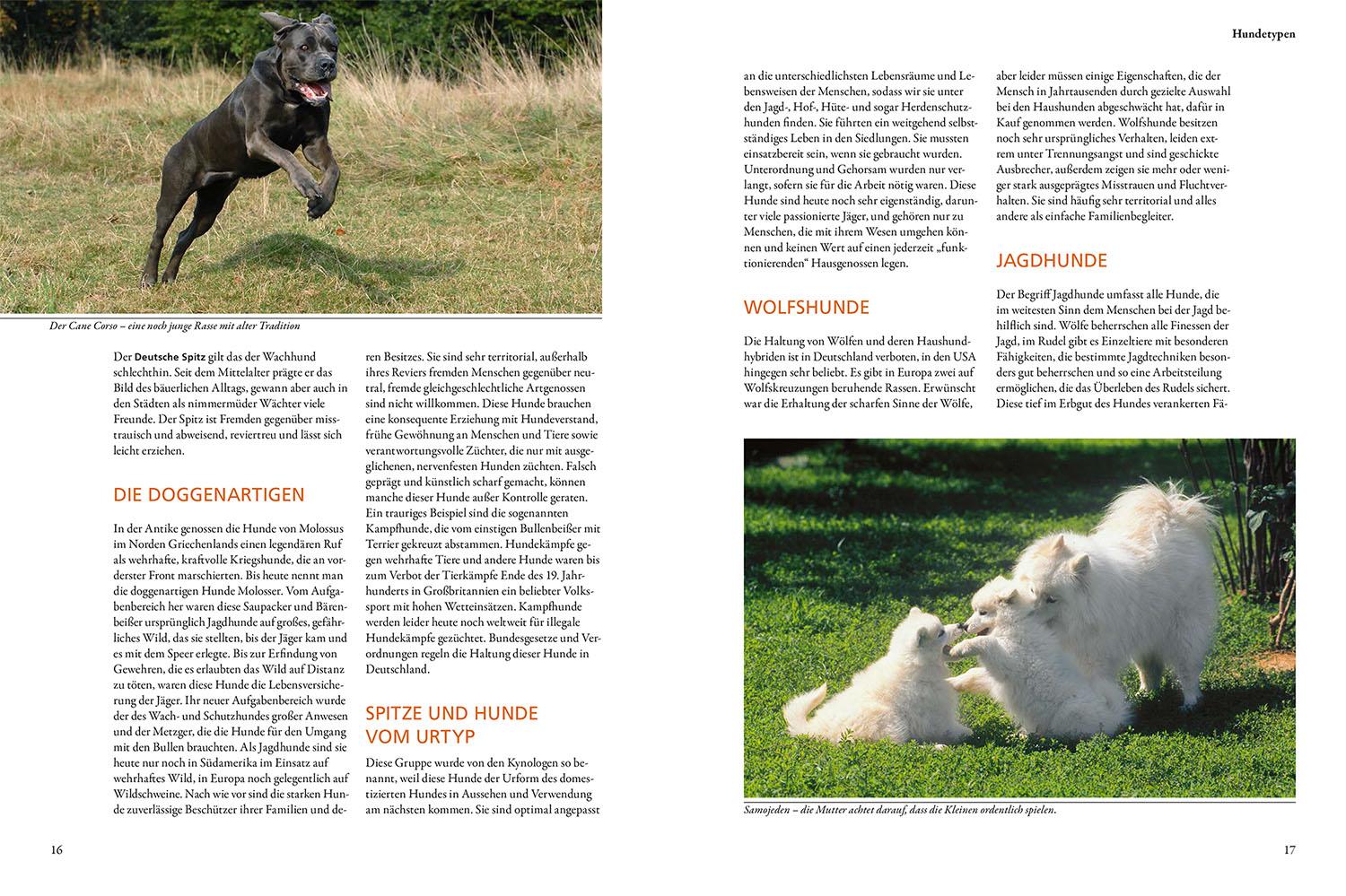 Beispielinhalt (Bild) Der KOSMOS-Hundeführer