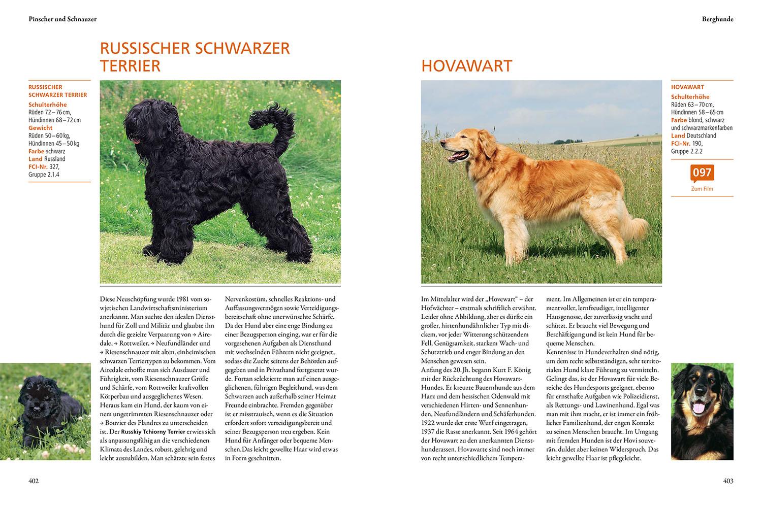 Beispielinhalt (Bild) Der KOSMOS-Hundeführer