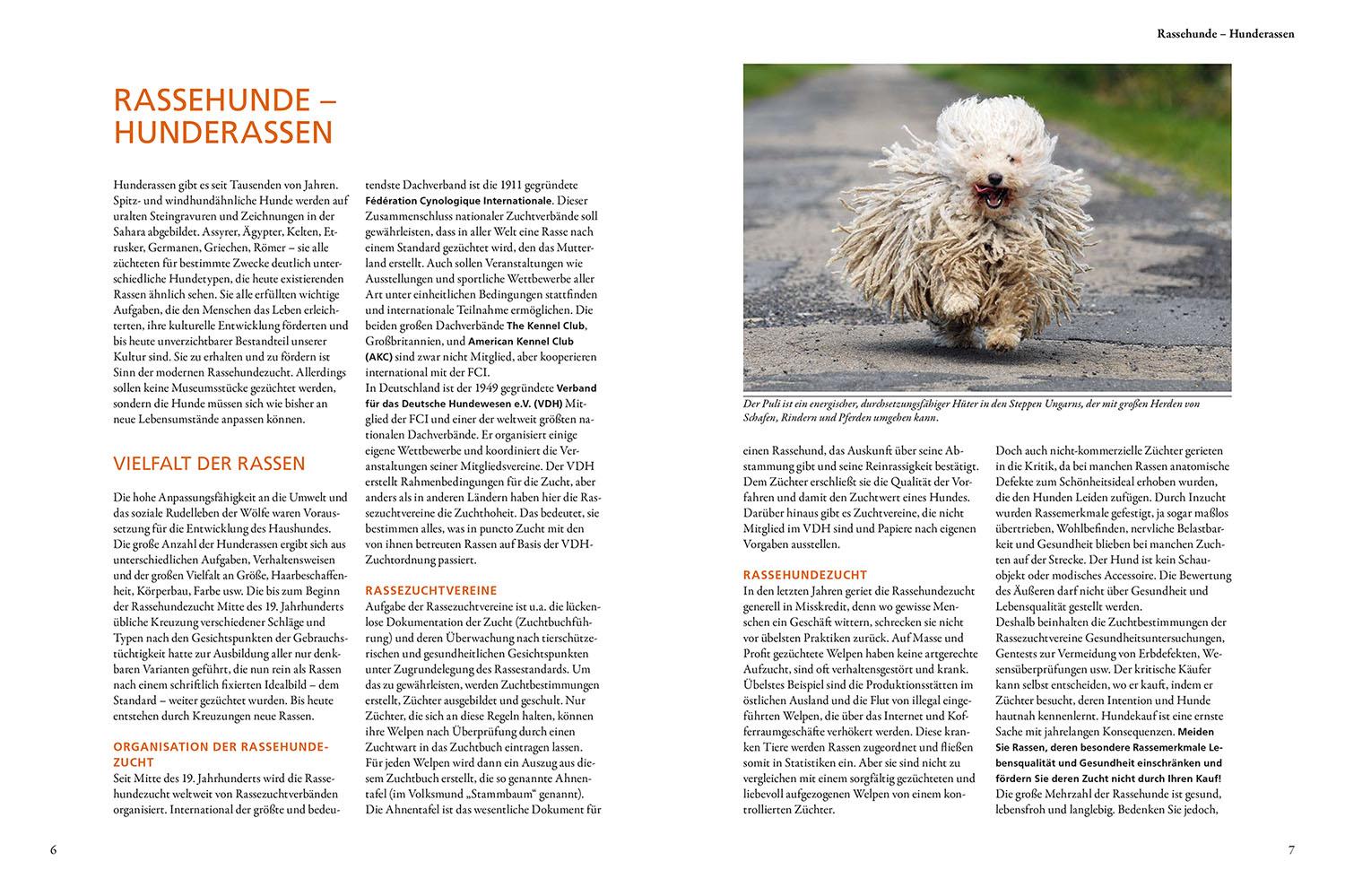 Beispielinhalt (Bild) Der KOSMOS-Hundeführer