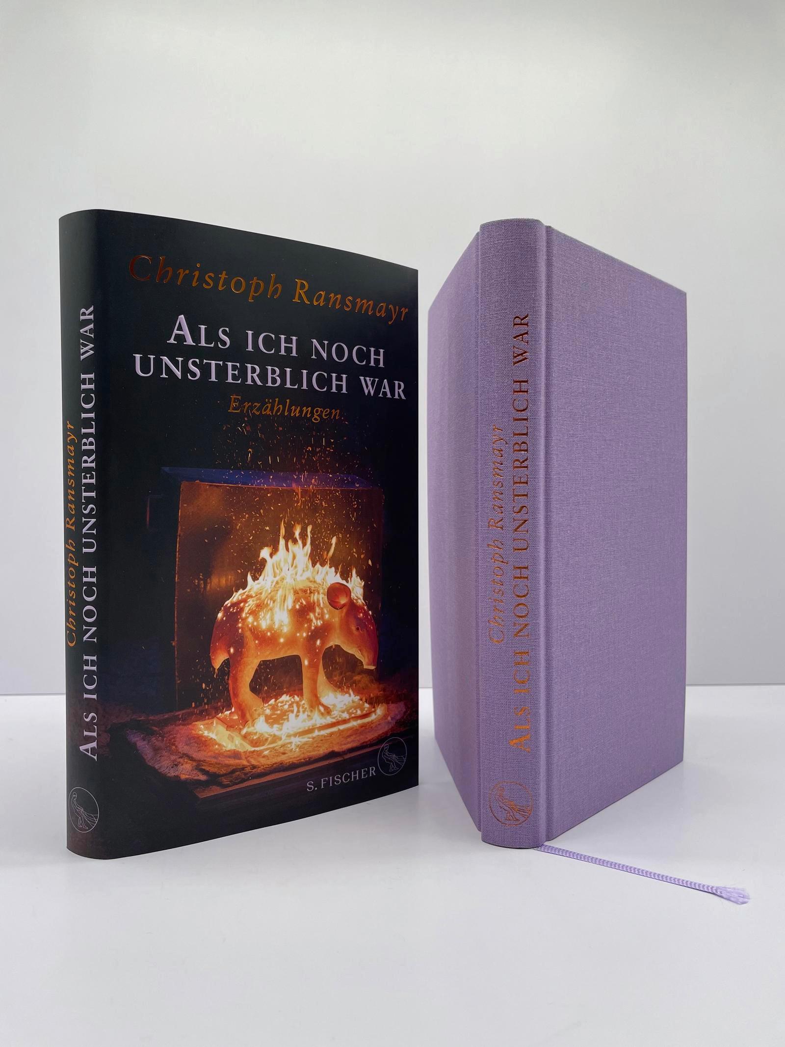 Beispielinhalt (Bild) Als ich noch unsterblich war