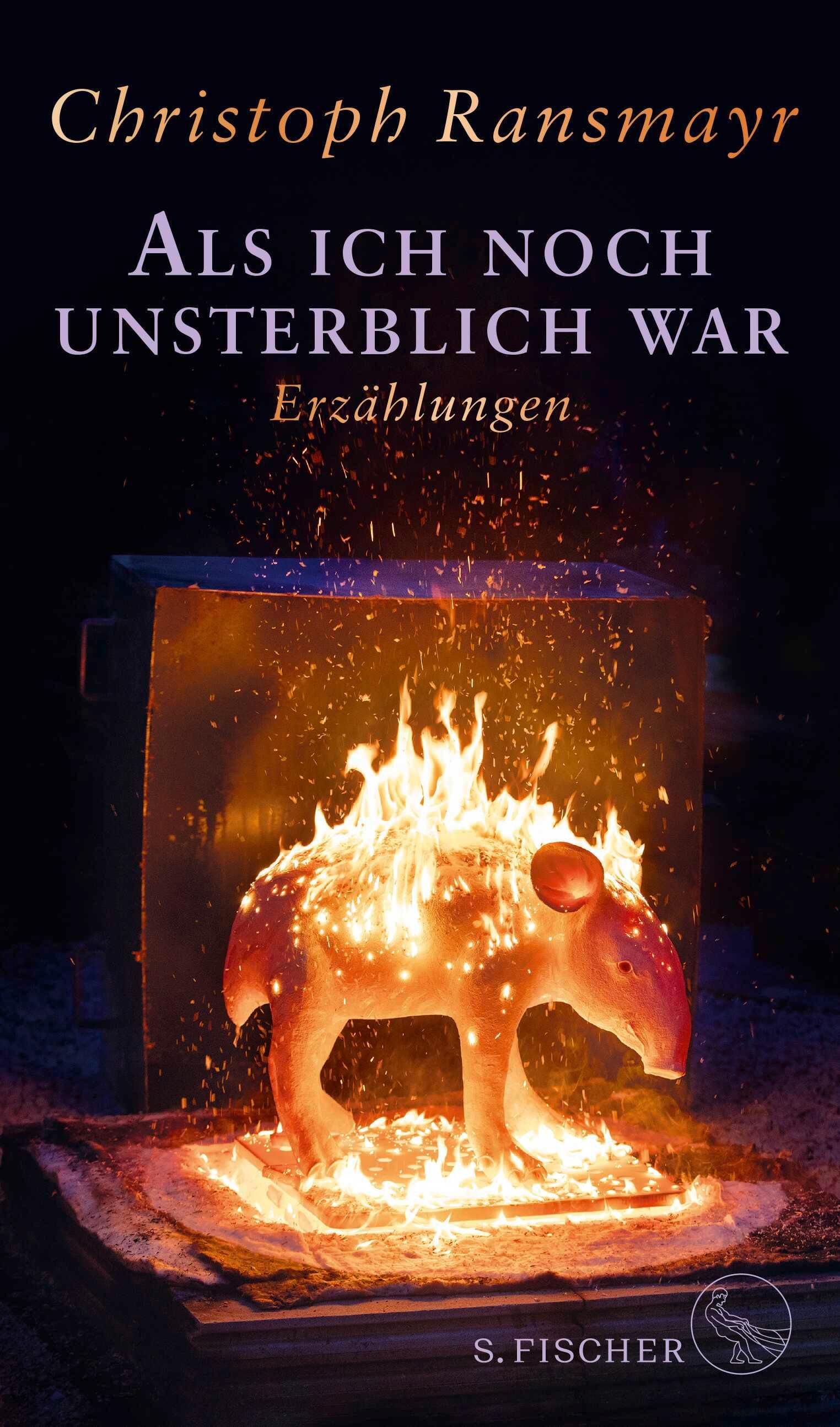 Vorderes Coverbild Als ich noch unsterblich war