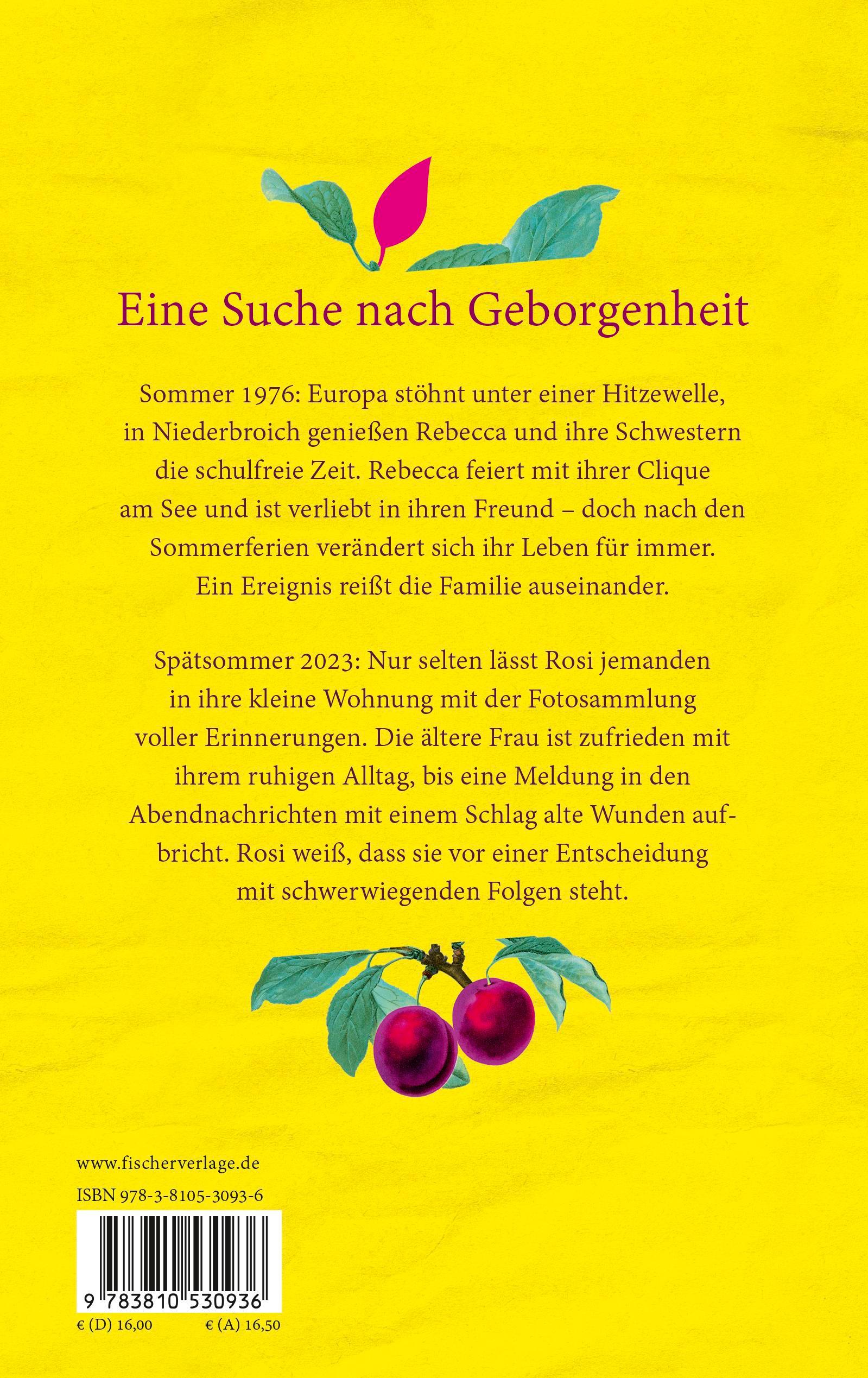 Rückseitencover Schwestern in einem anderen Leben