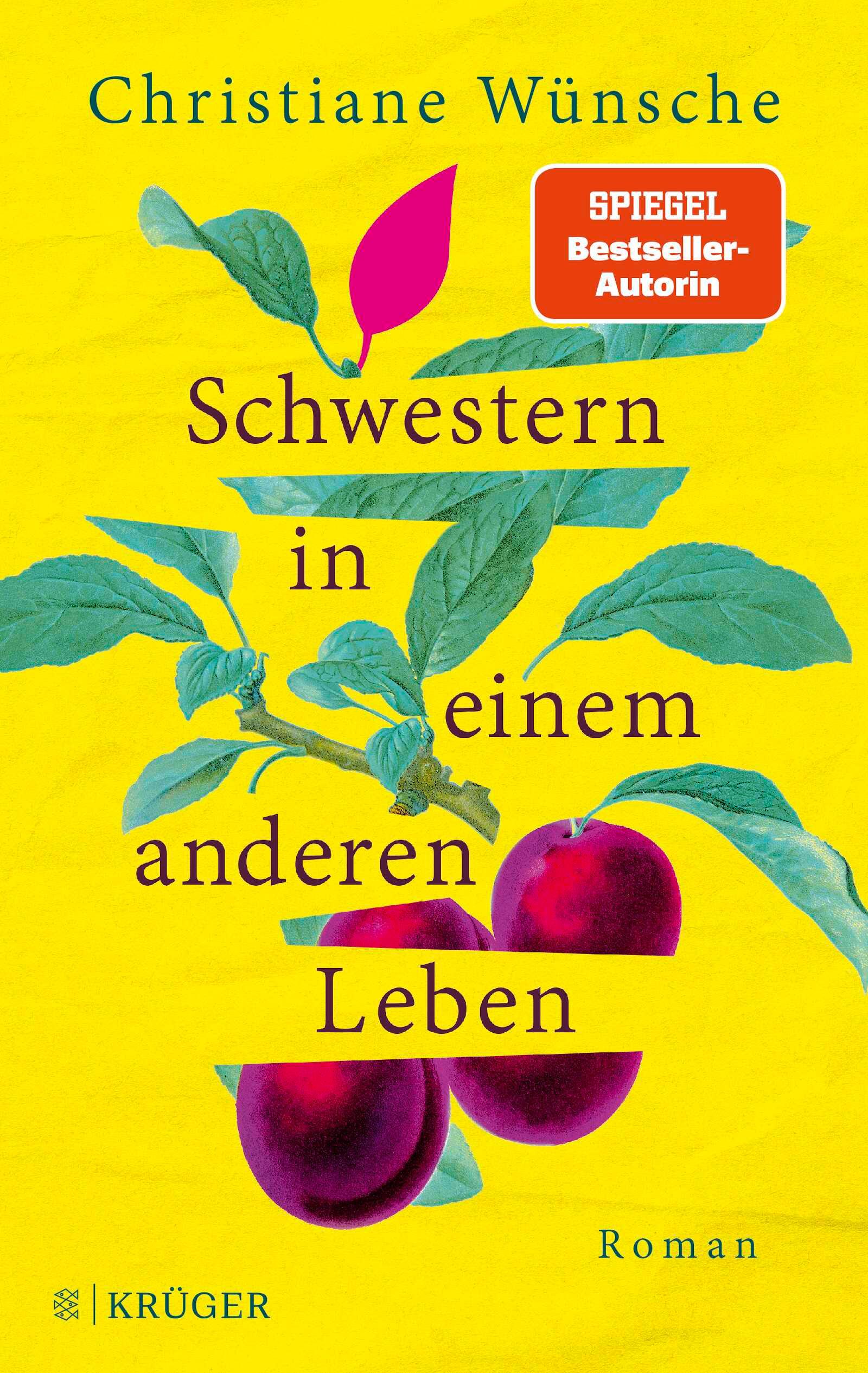 Vorderes Coverbild Schwestern in einem anderen Leben