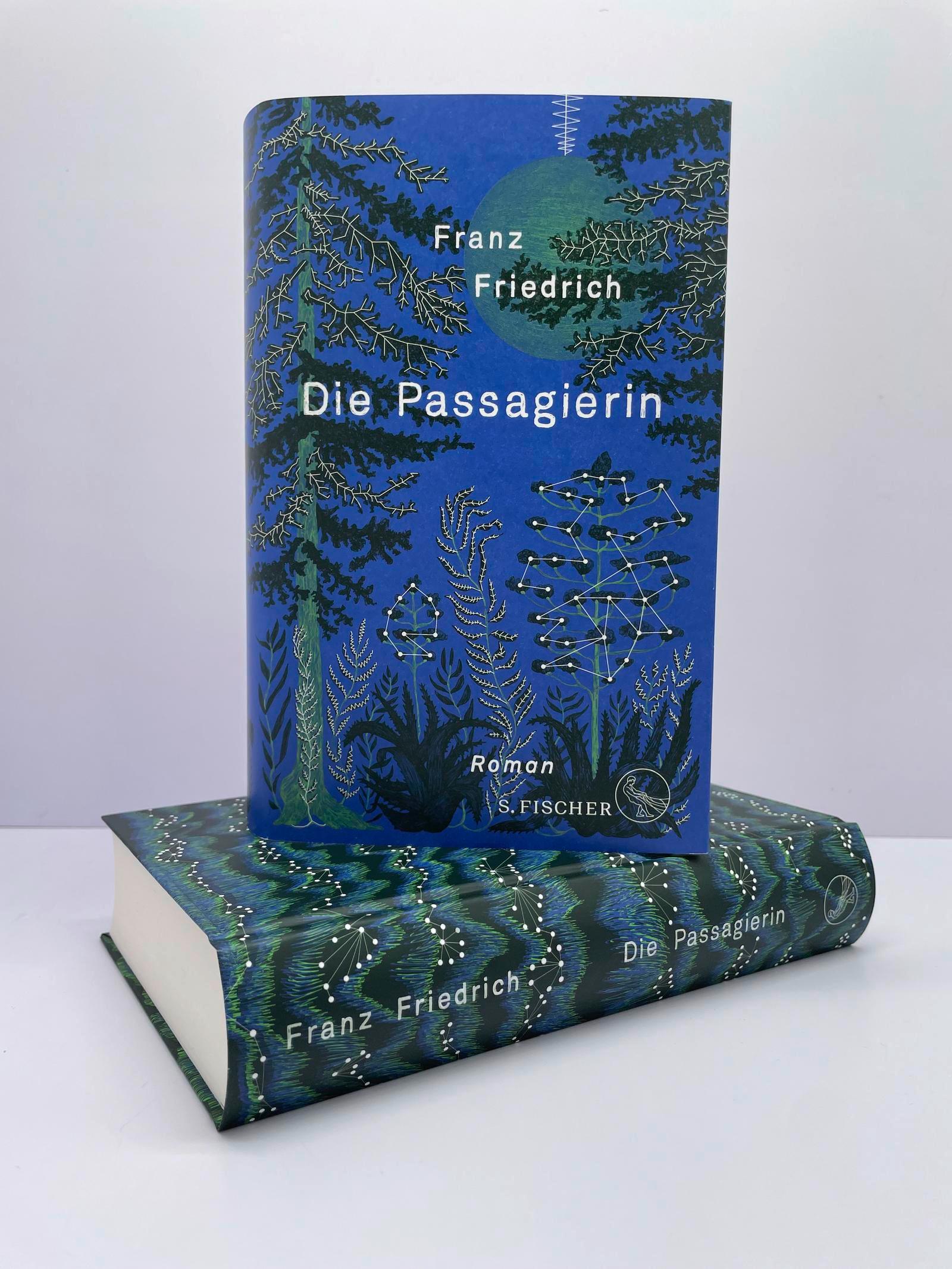Beispielinhalt (Bild) Die Passagierin