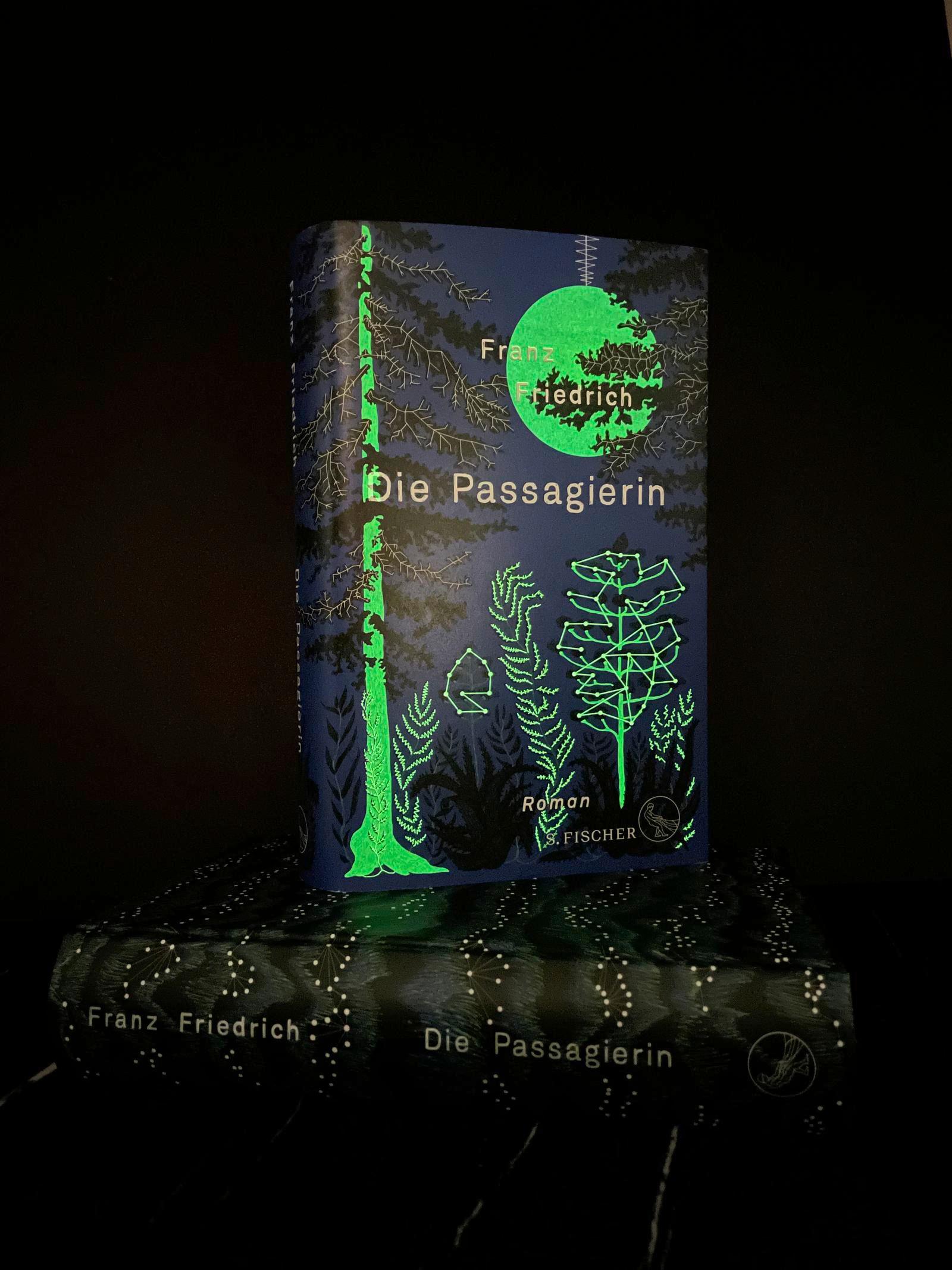 Beispielinhalt (Bild) Die Passagierin