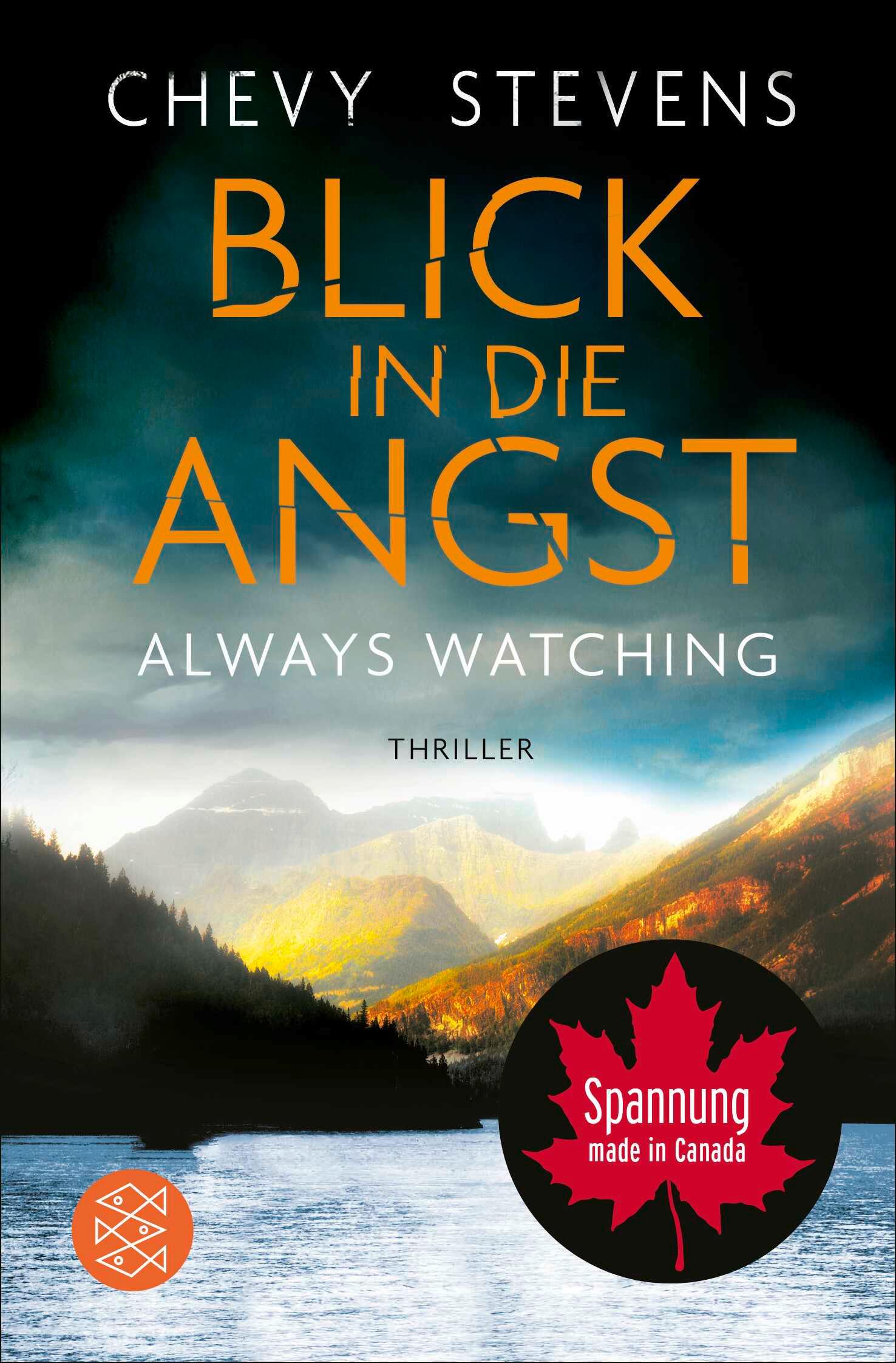Vorderes Coverbild Blick in die Angst