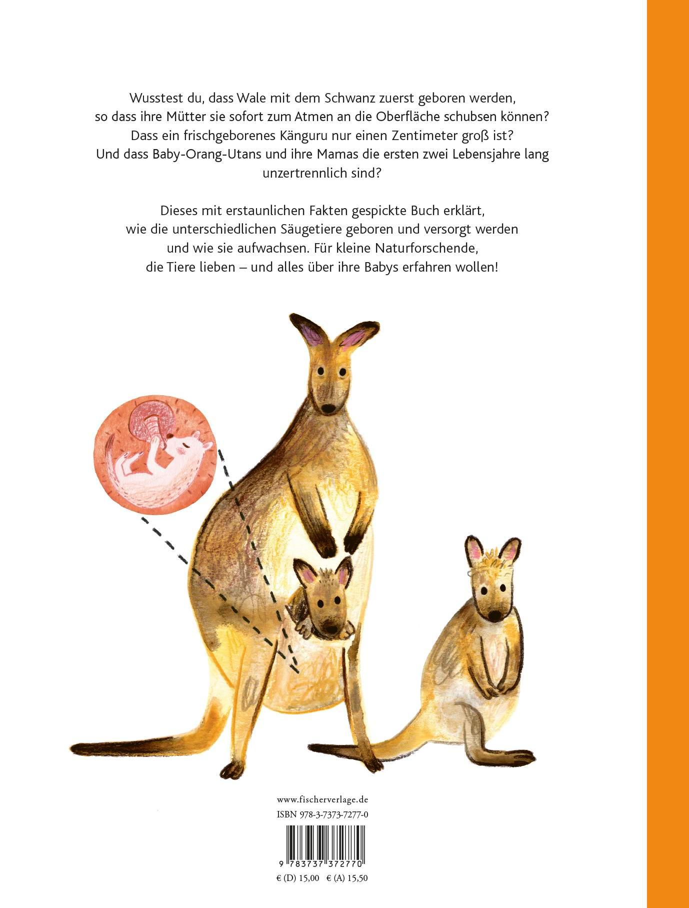 Rückseitencover Kleine Säugetiere werden groß