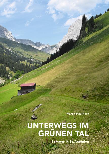 Vorderes Coverbild Unterwegs im grünen Tal
