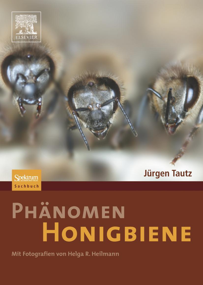 Vorderes Coverbild Phänomen Honigbiene