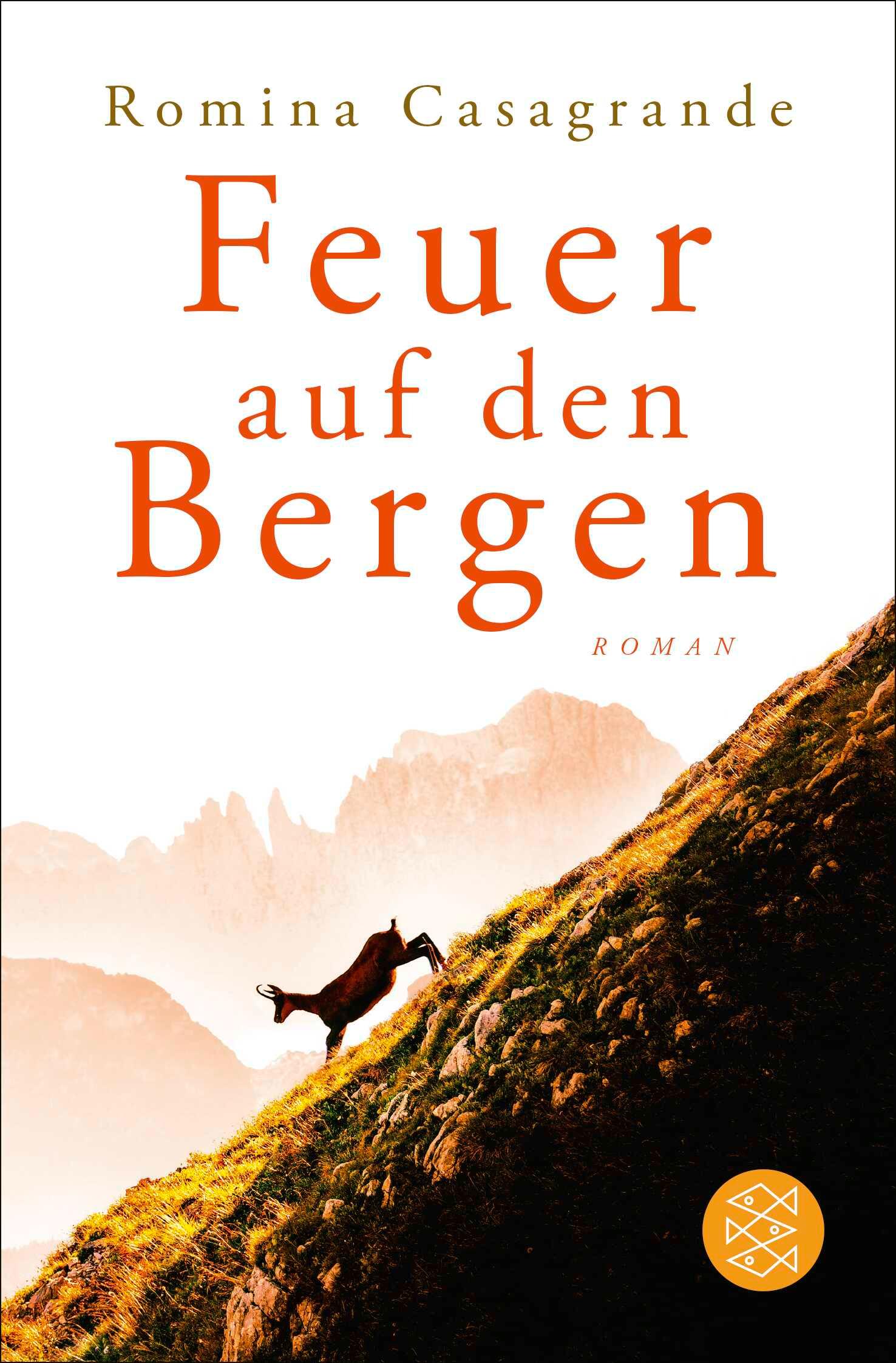 Vorderes Coverbild Feuer auf den Bergen