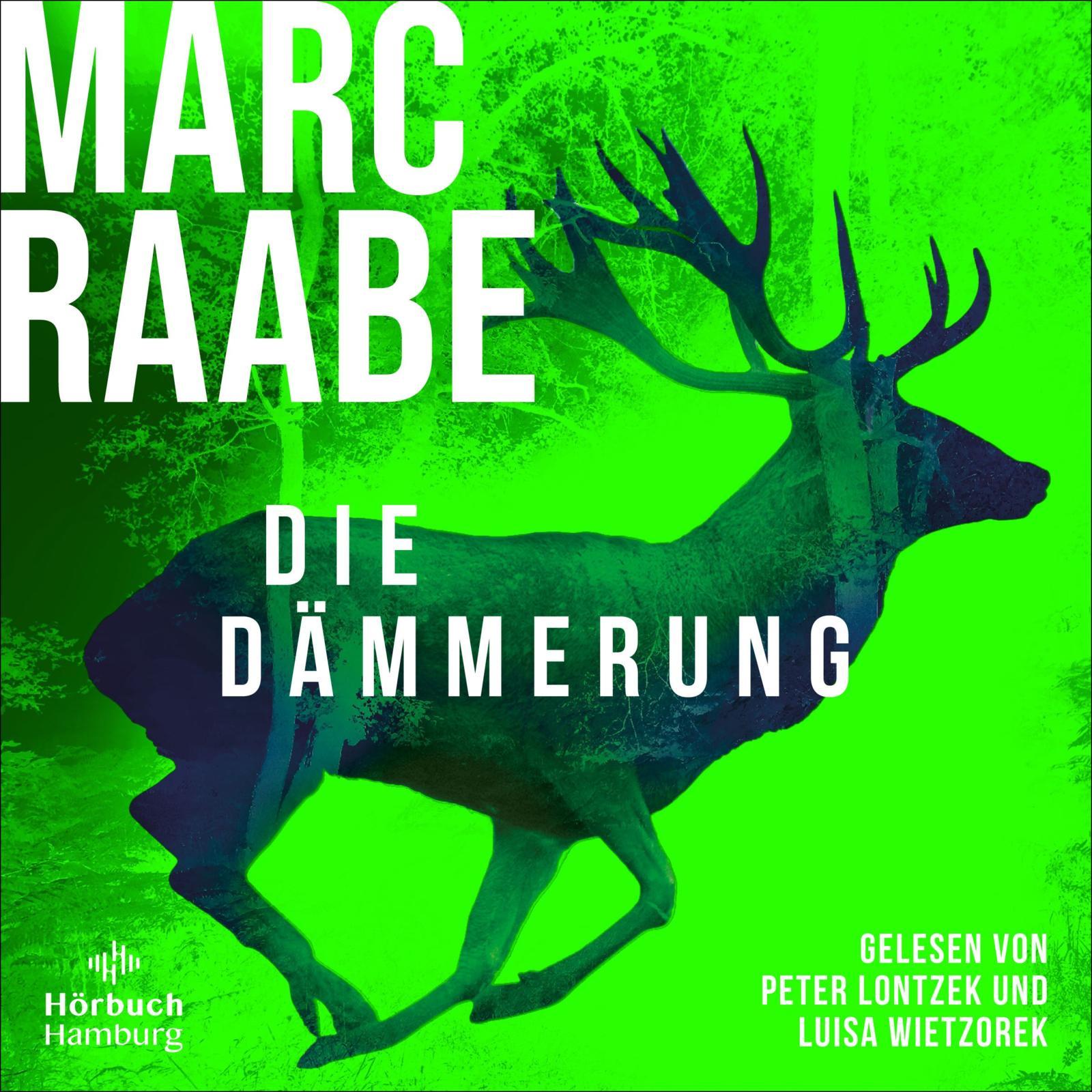 Vorderes Coverbild Die Dämmerung (Art Mayer-Serie 2)