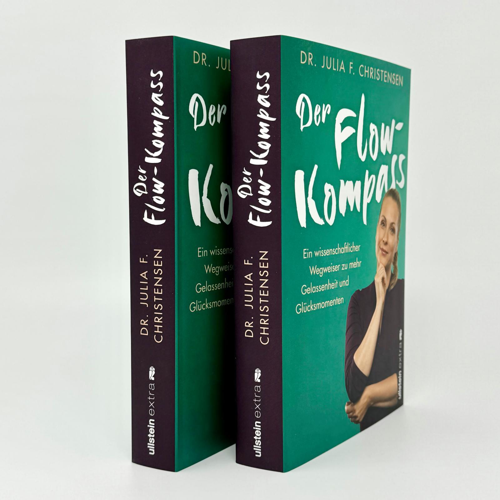 Beispielinhalt (Bild) Der Flow-Kompass