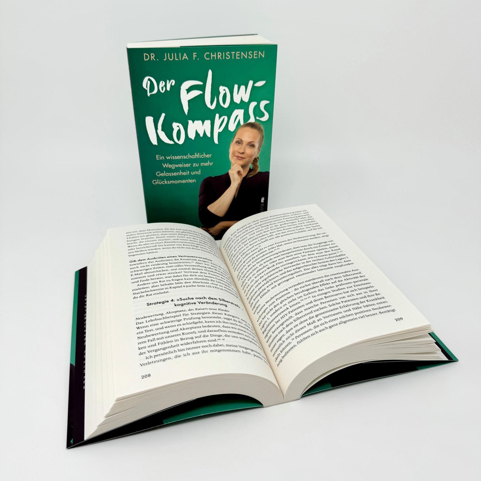 Beispielinhalt (Bild) Der Flow-Kompass