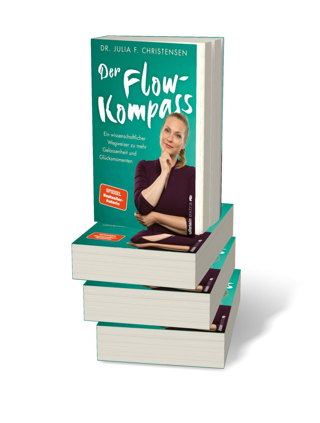 Beispielinhalt (Bild) Der Flow-Kompass