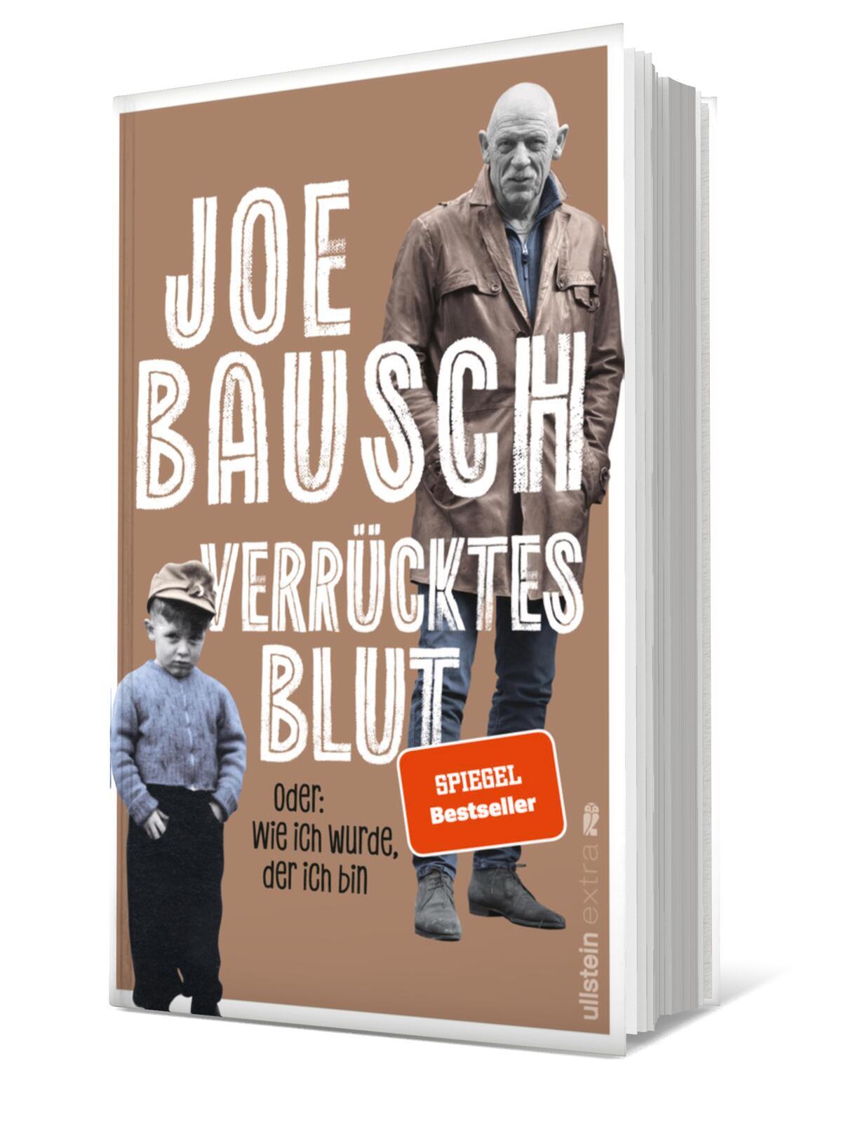 Vorderes Coverbild Verrücktes Blut