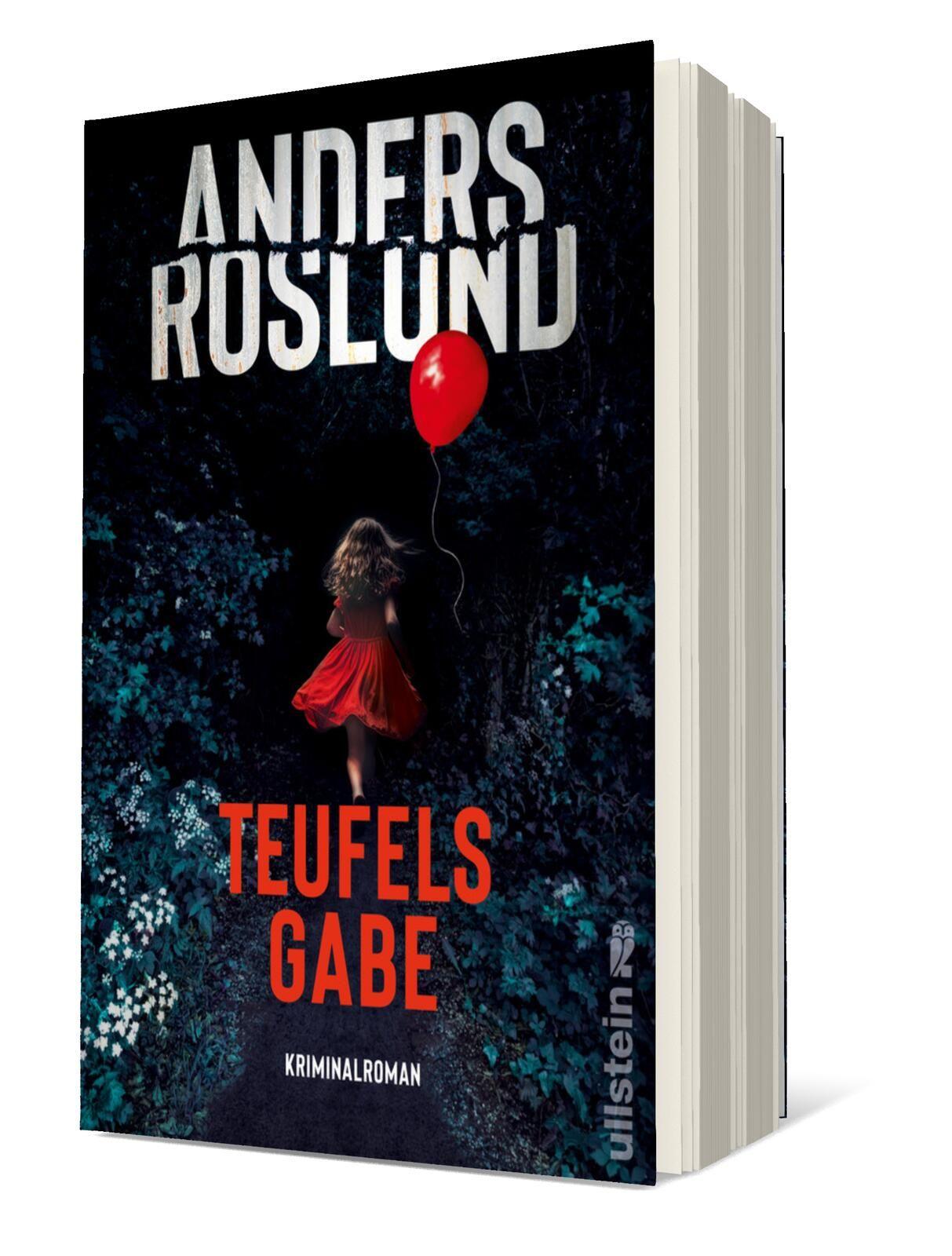 Vorderes Coverbild Teufelsgabe