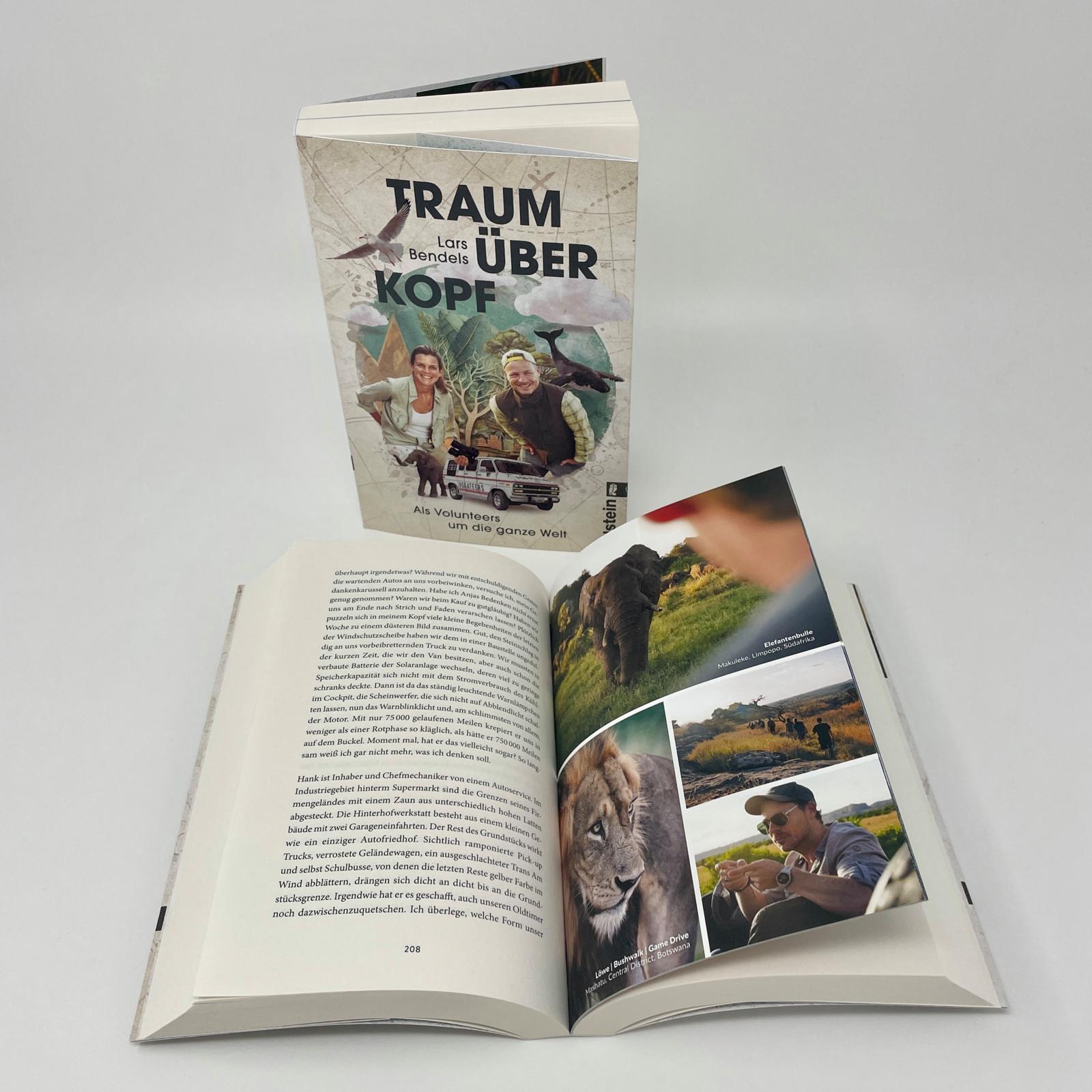 Beispielinhalt (Bild) Traum über Kopf