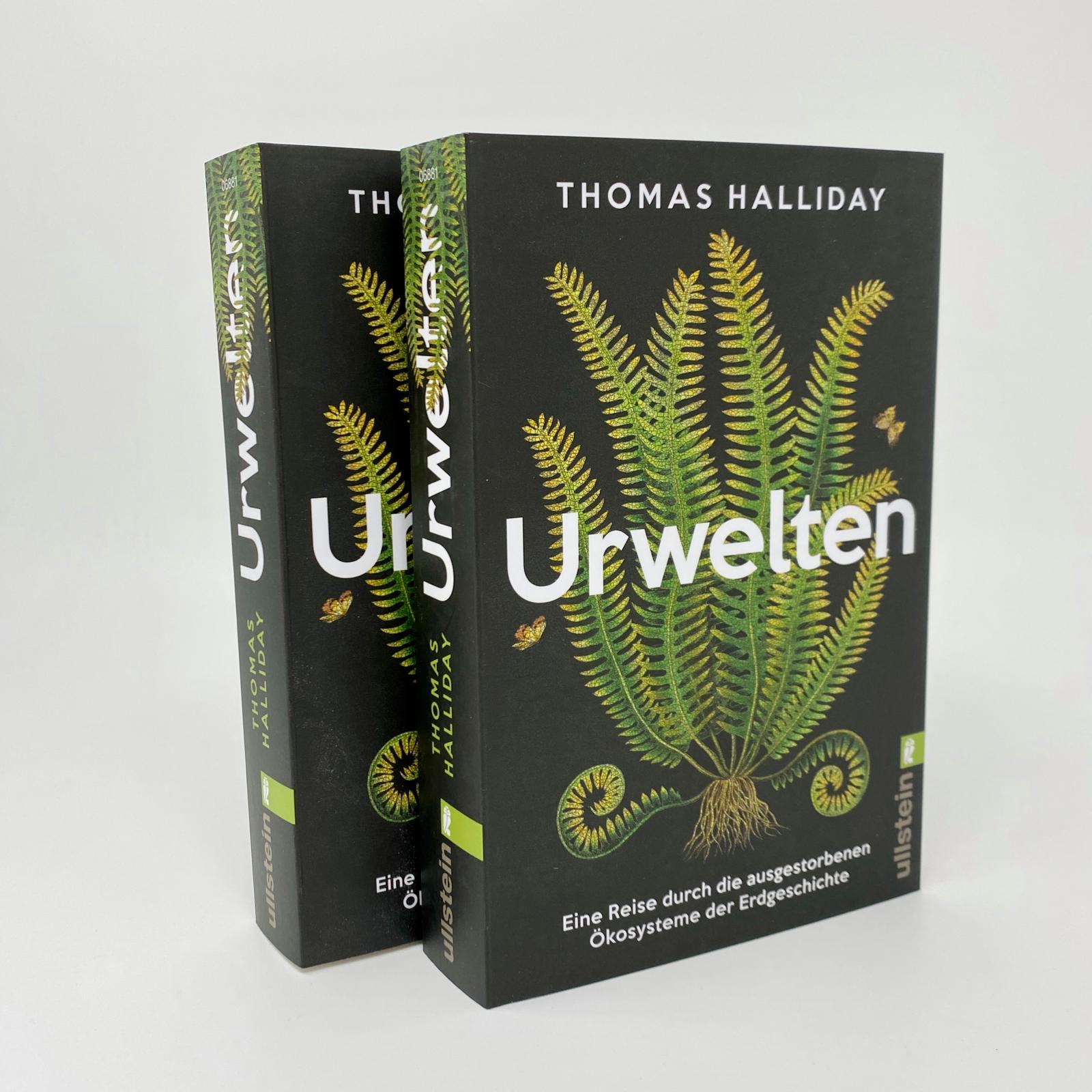 Beispielinhalt (Bild) Urwelten