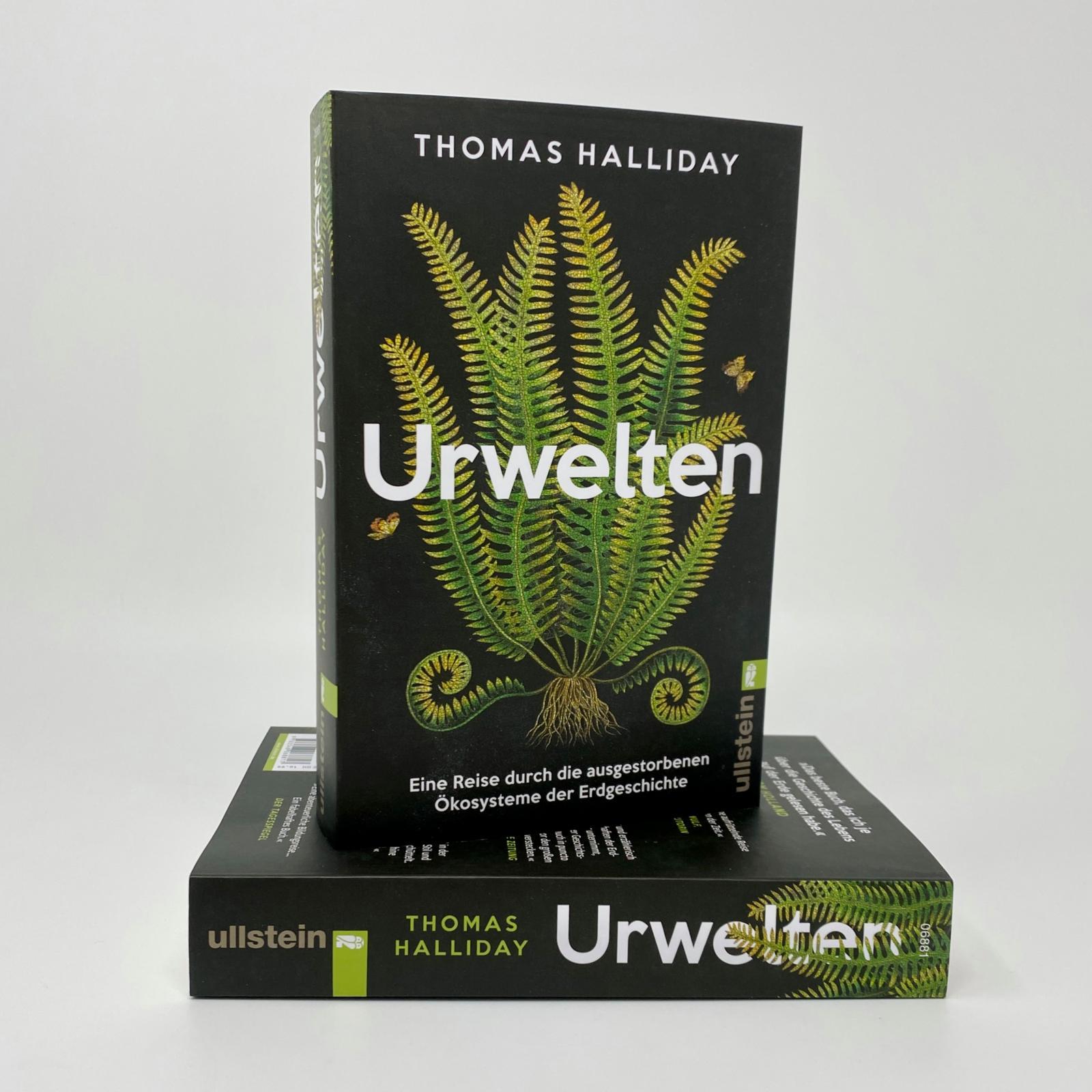Beispielinhalt (Bild) Urwelten