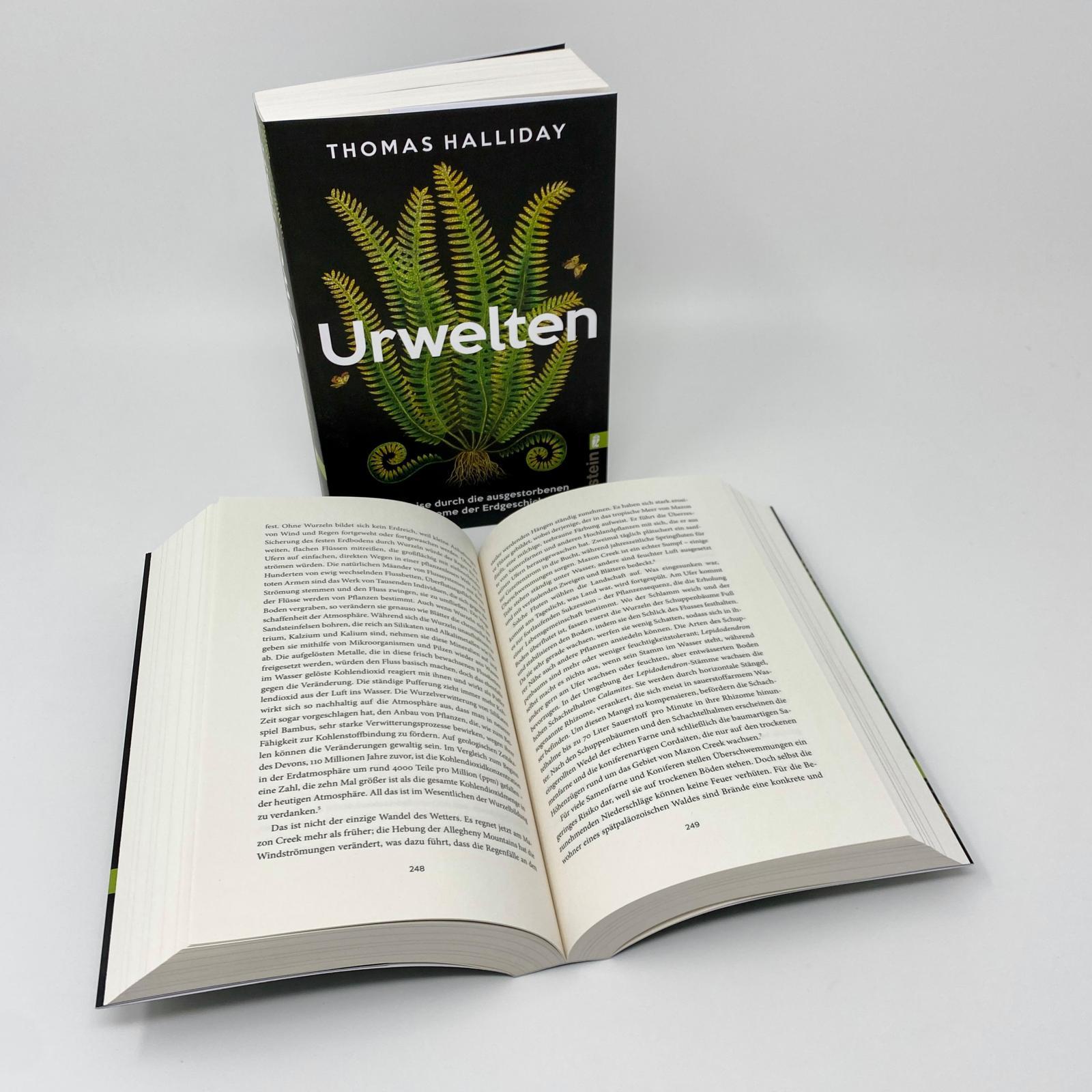 Beispielinhalt (Bild) Urwelten