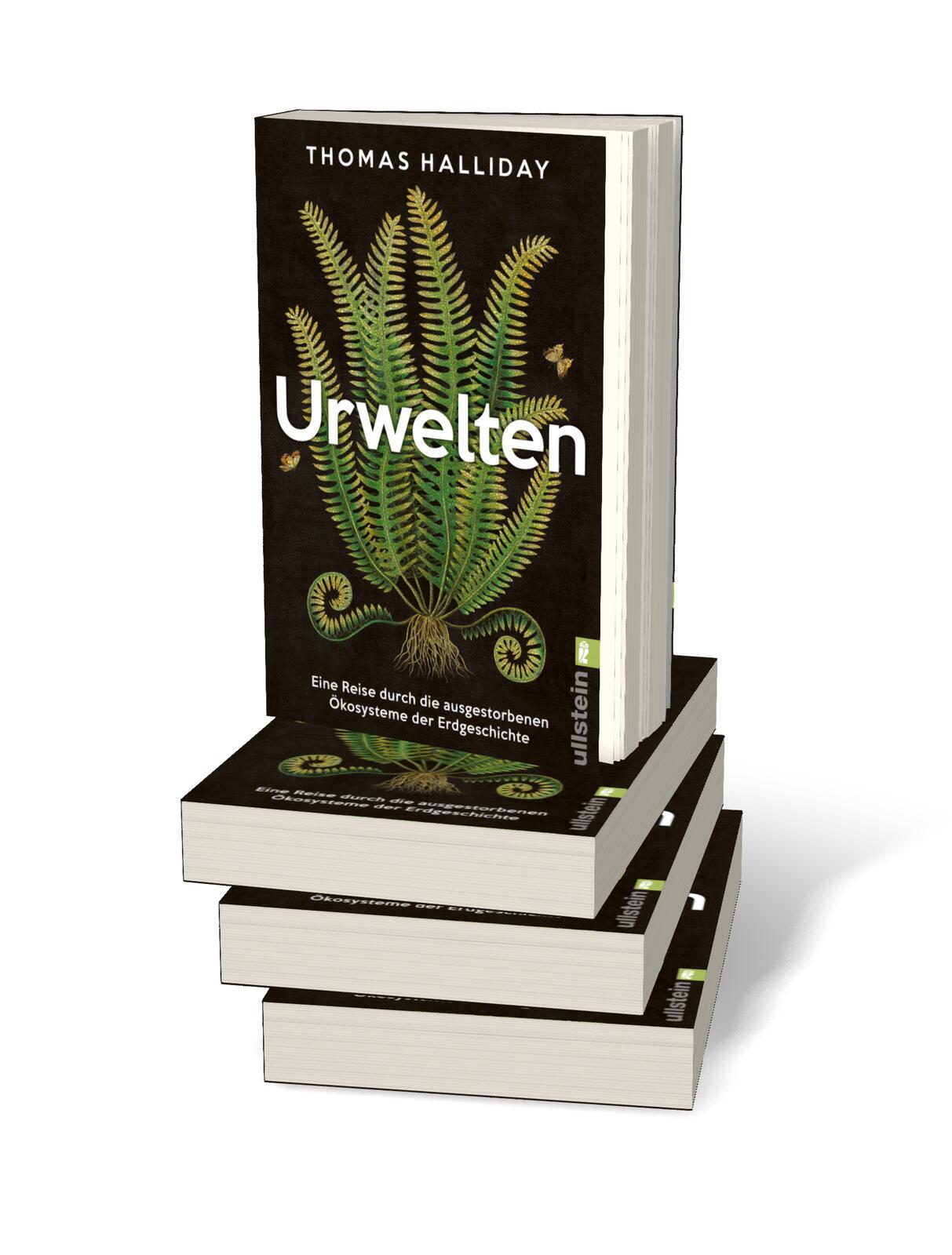 Beispielinhalt (Bild) Urwelten