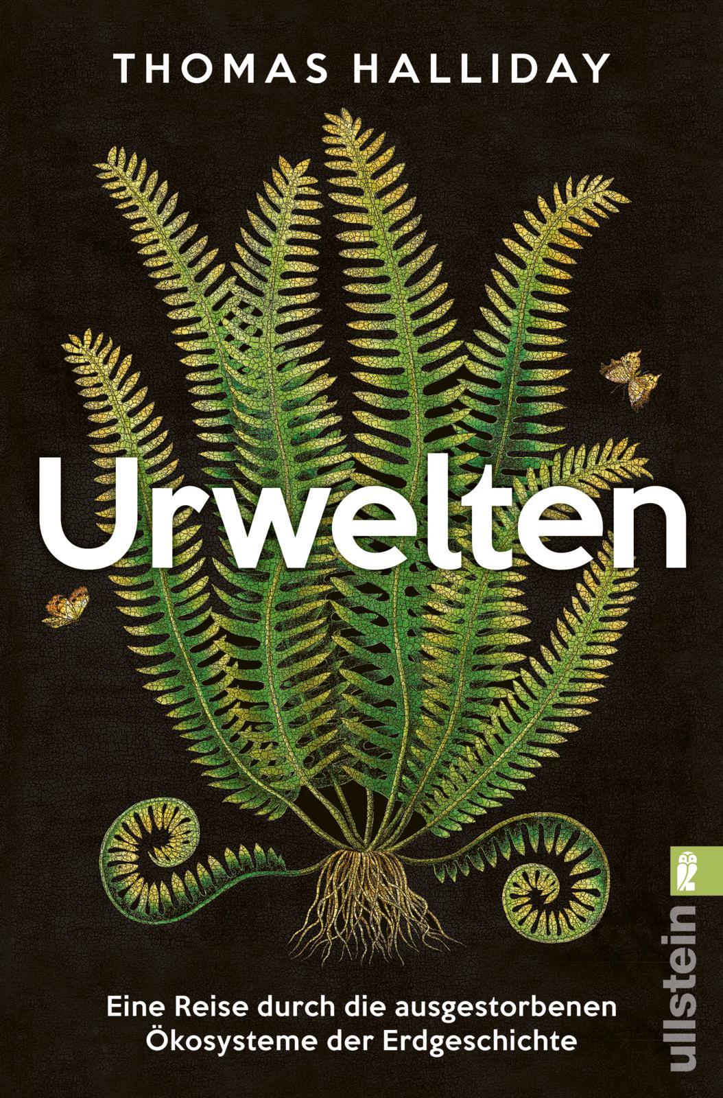 Vorderes Coverbild Urwelten