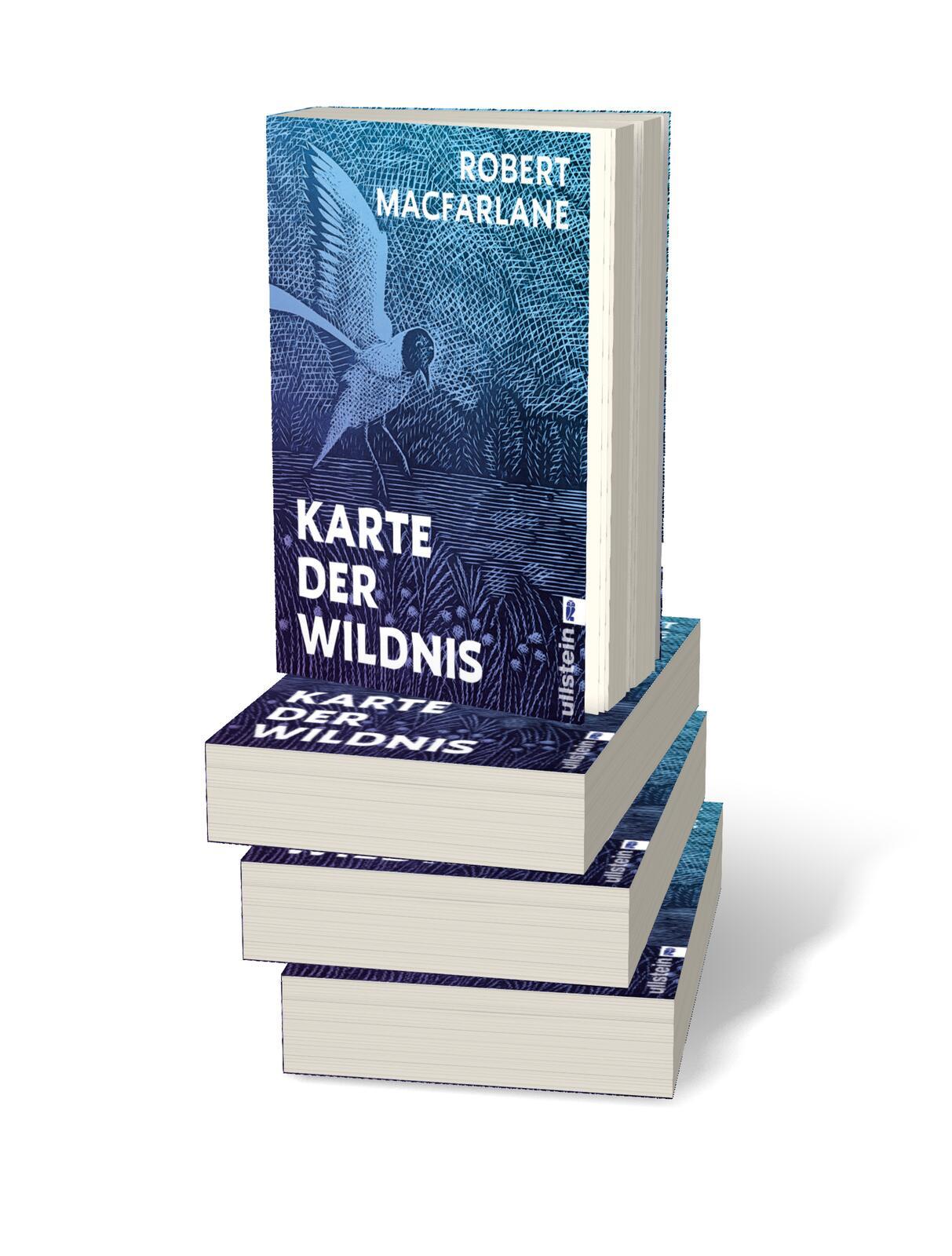 Beispielinhalt (Bild) Karte der Wildnis