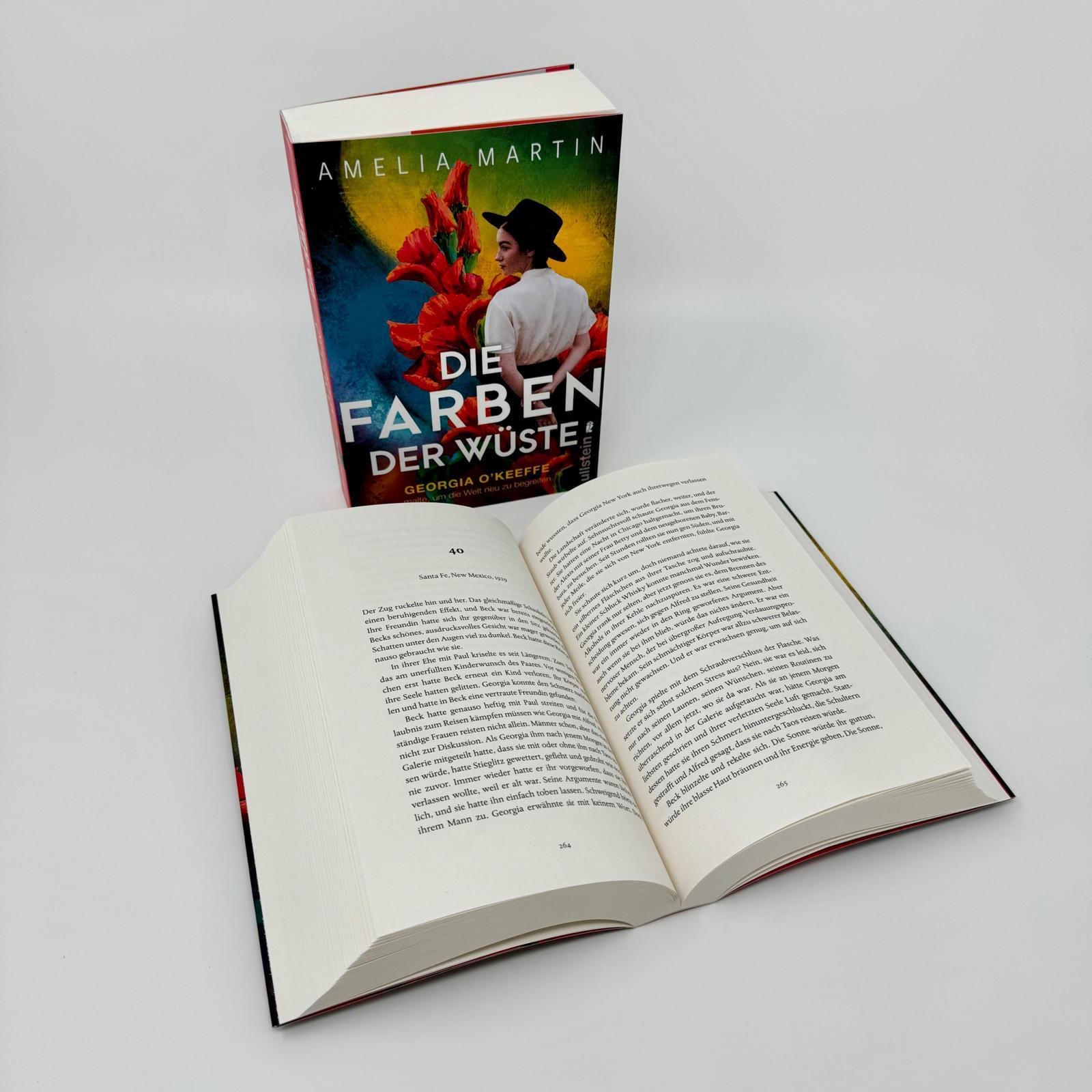 Beispielinhalt (Bild) Die Farben der Wüste