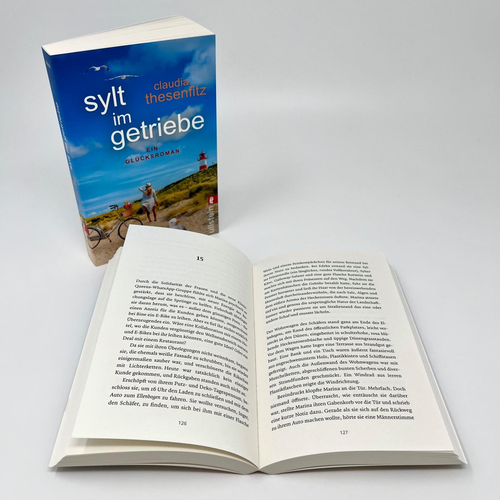 Beispielinhalt (Bild) Sylt im Getriebe