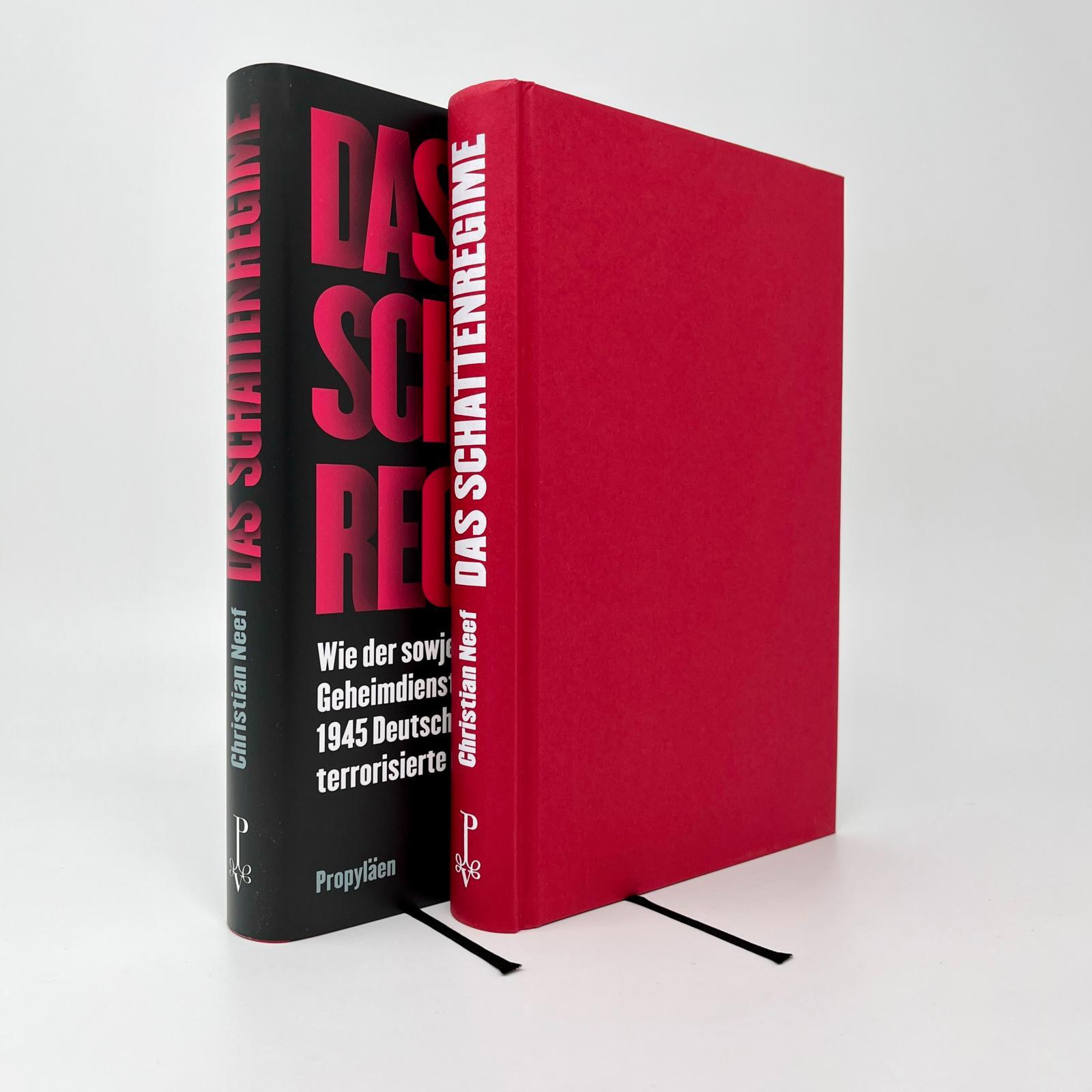 Beispielinhalt (Bild) Das Schattenregime