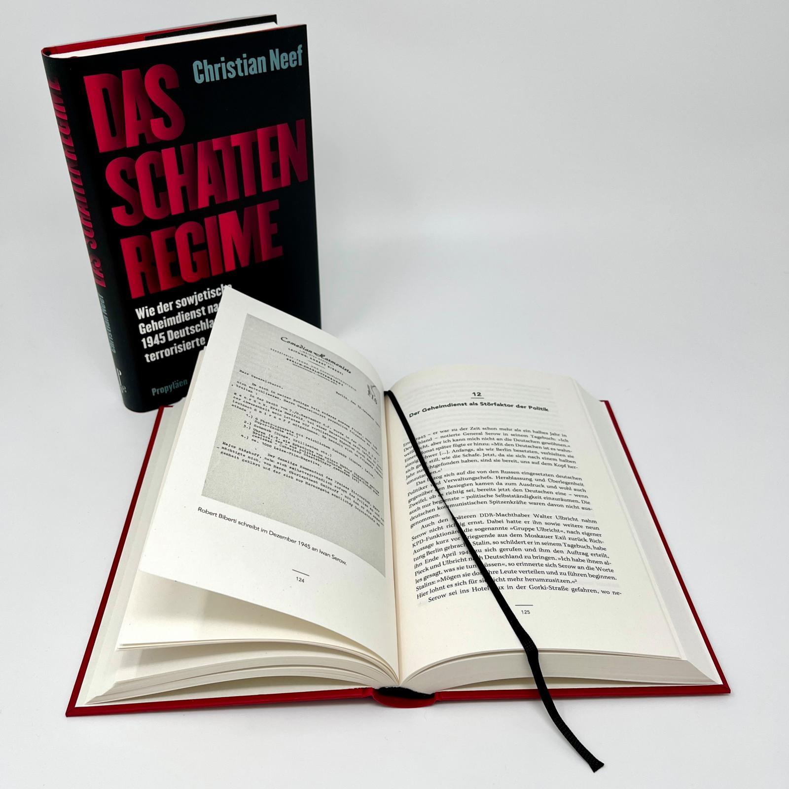 Beispielinhalt (Bild) Das Schattenregime