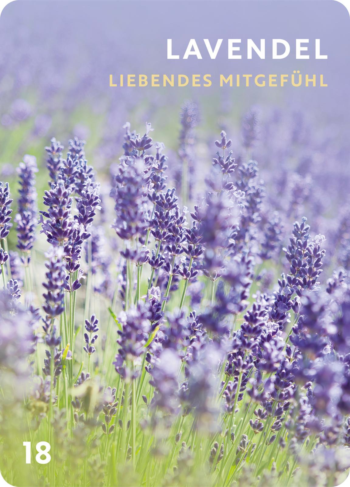 Beispielinhalt (Bild) Düfte für die Seele