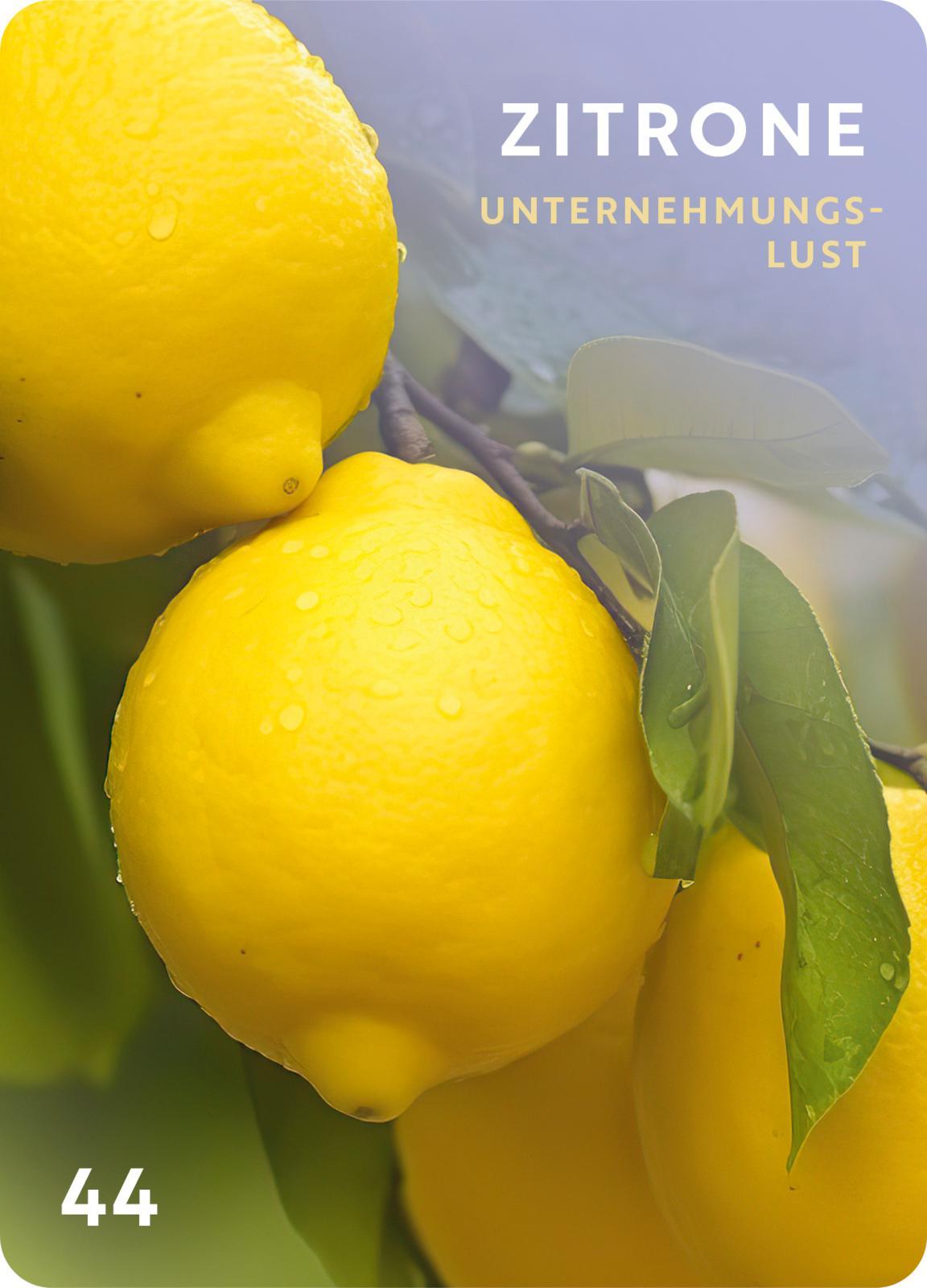 Beispielinhalt (Bild) Düfte für die Seele