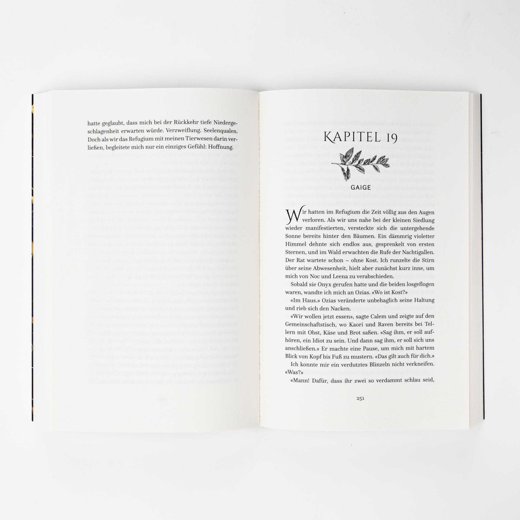 Beispielinhalt (Bild) Die dunklen Tiermagier - Klingen und Rosen