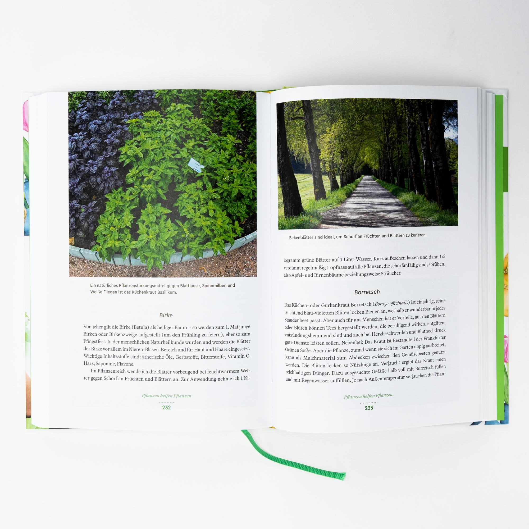 Beispielinhalt (Bild) Der große Wadas