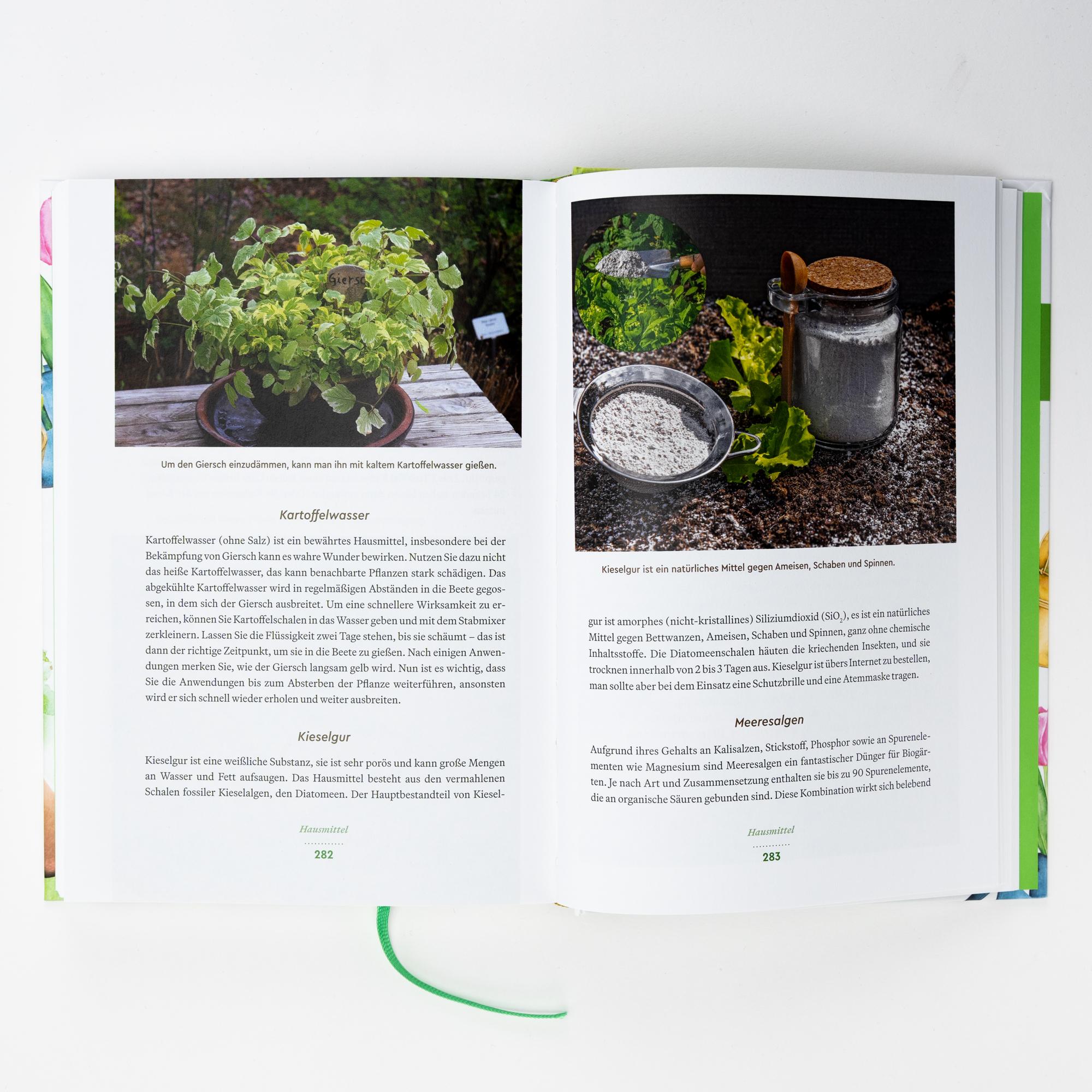 Beispielinhalt (Bild) Der große Wadas