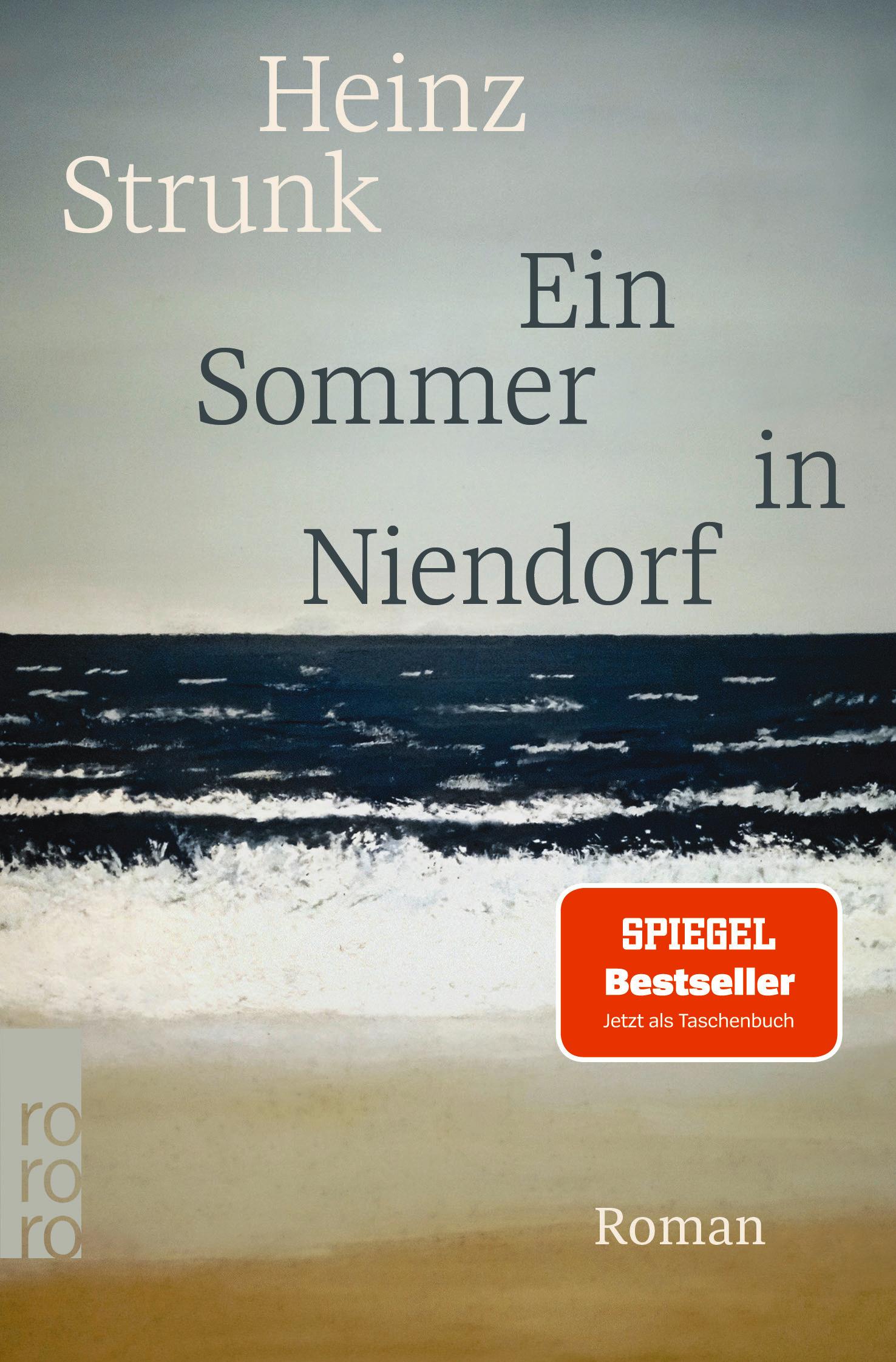 Vorderes Coverbild Ein Sommer in Niendorf
