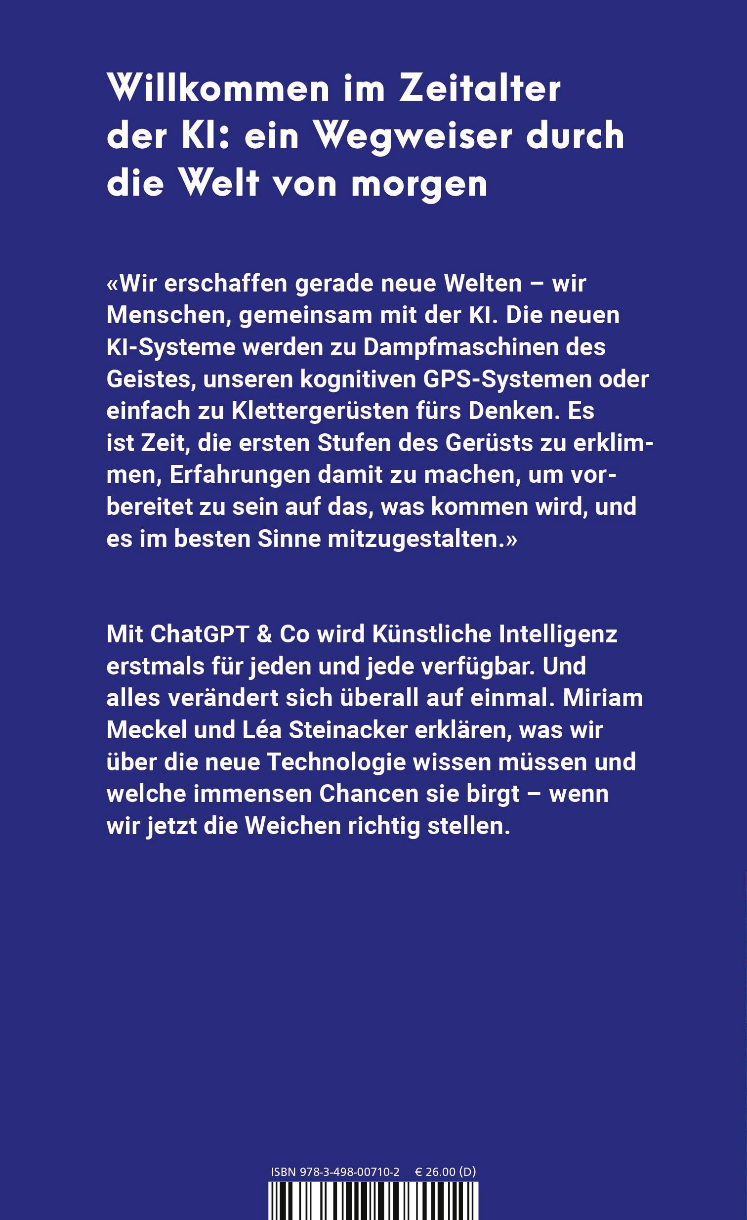 Rückseitencover Alles überall auf einmal