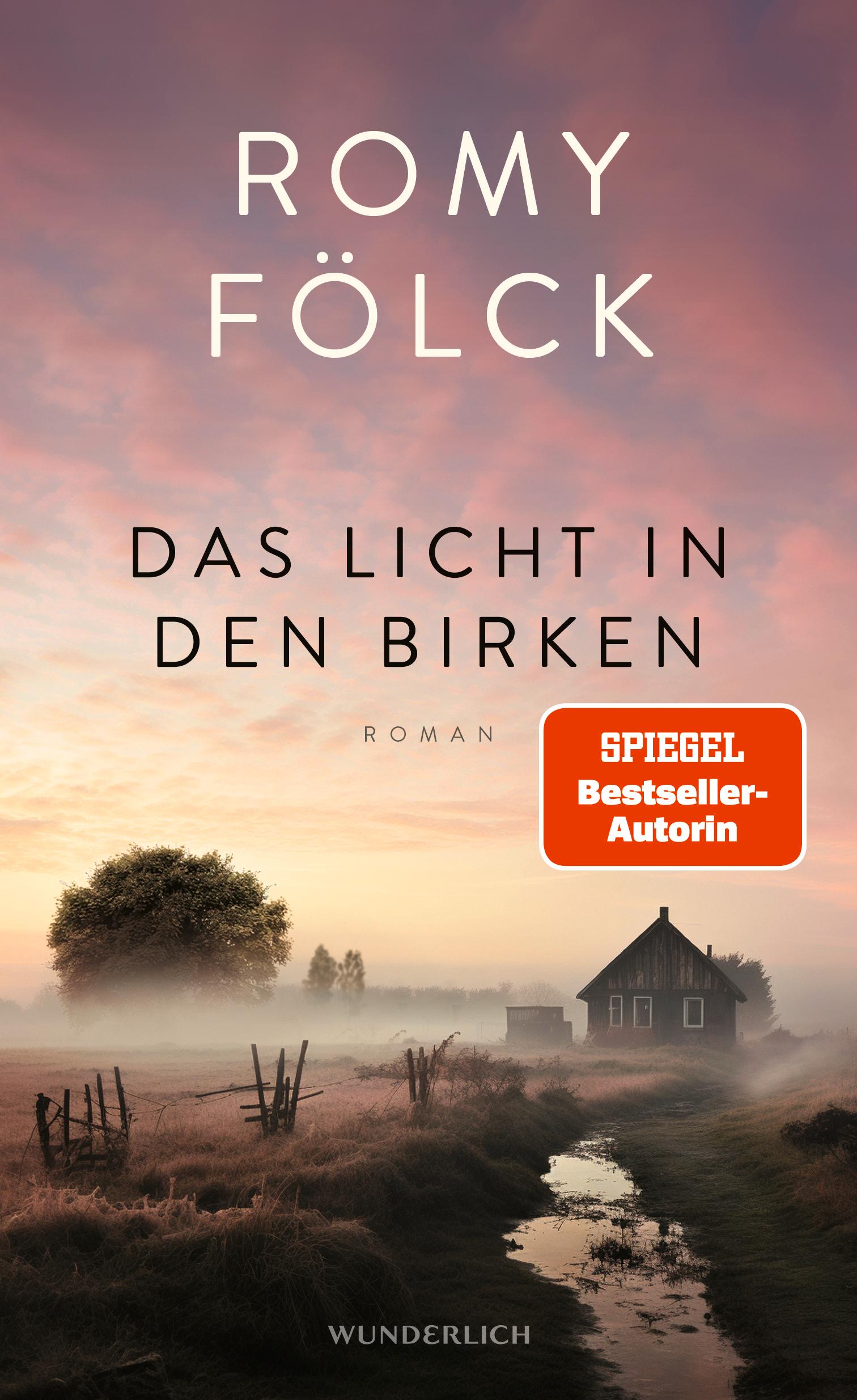 Vorderes Coverbild Das Licht in den Birken
