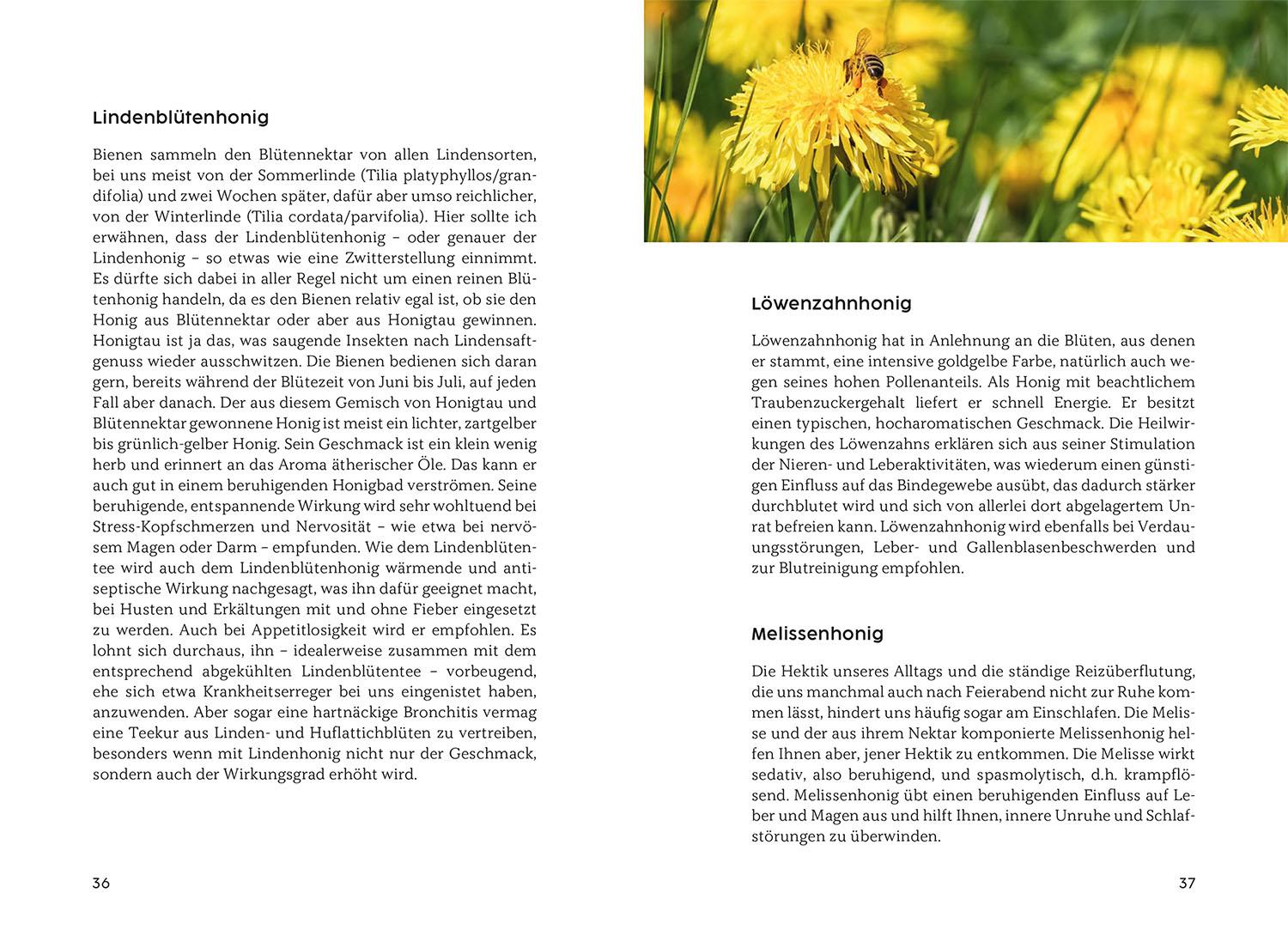 Beispielinhalt (Bild) Gesund mit Honig