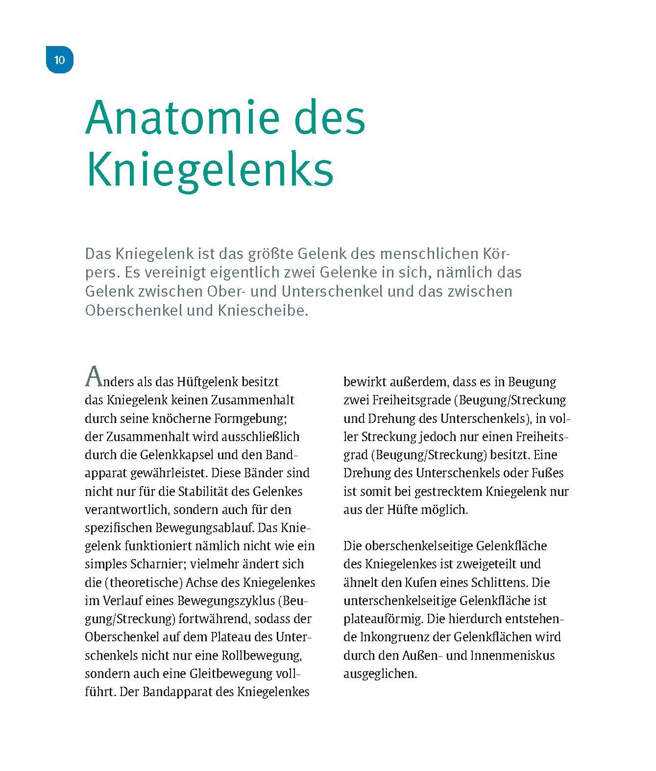 Beispielinhalt (Bild) Schmerzfrei & beweglich mit dem neuen Kniegelenk