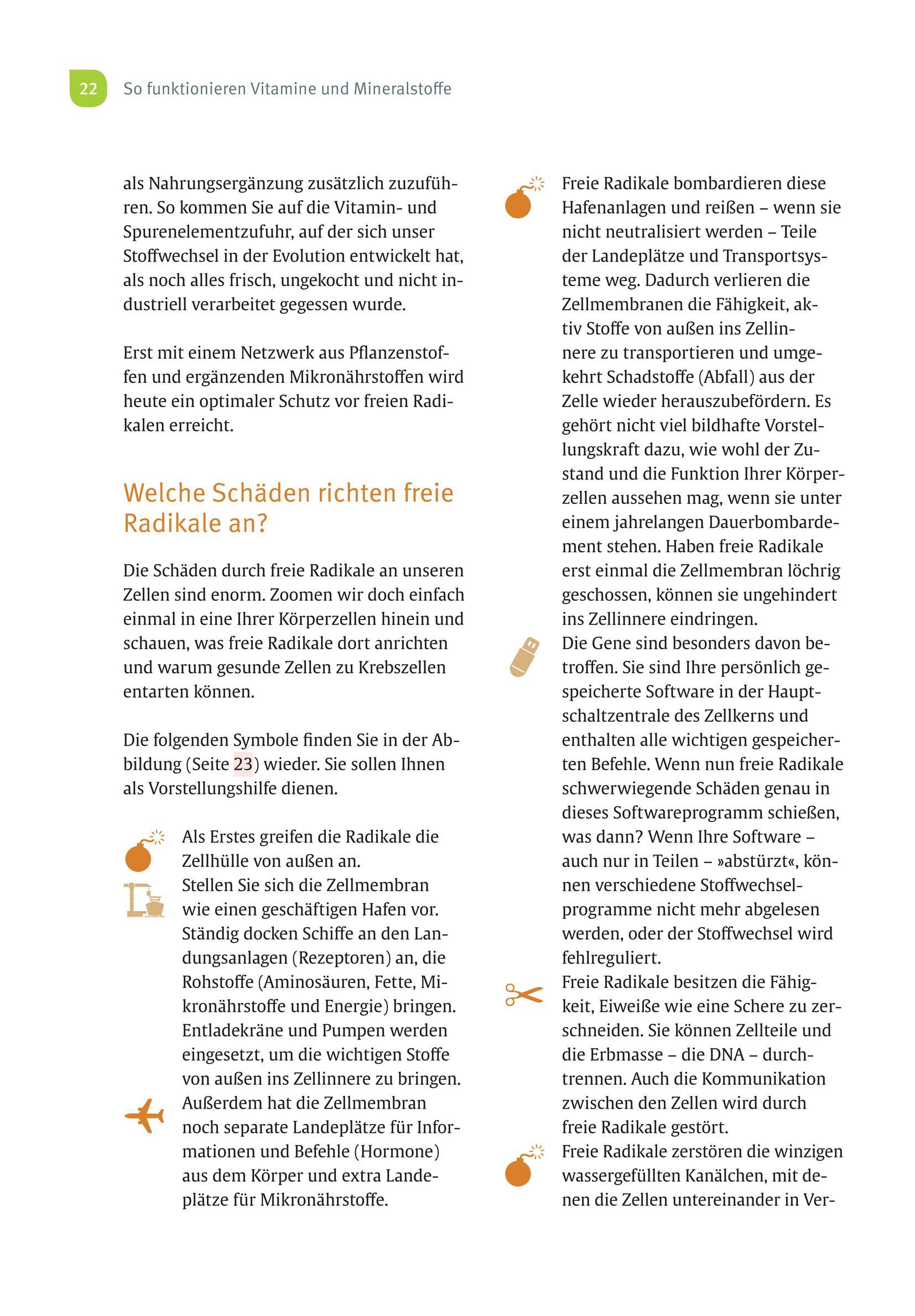 Beispielinhalt (Bild) Risikofaktor Vitaminmangel