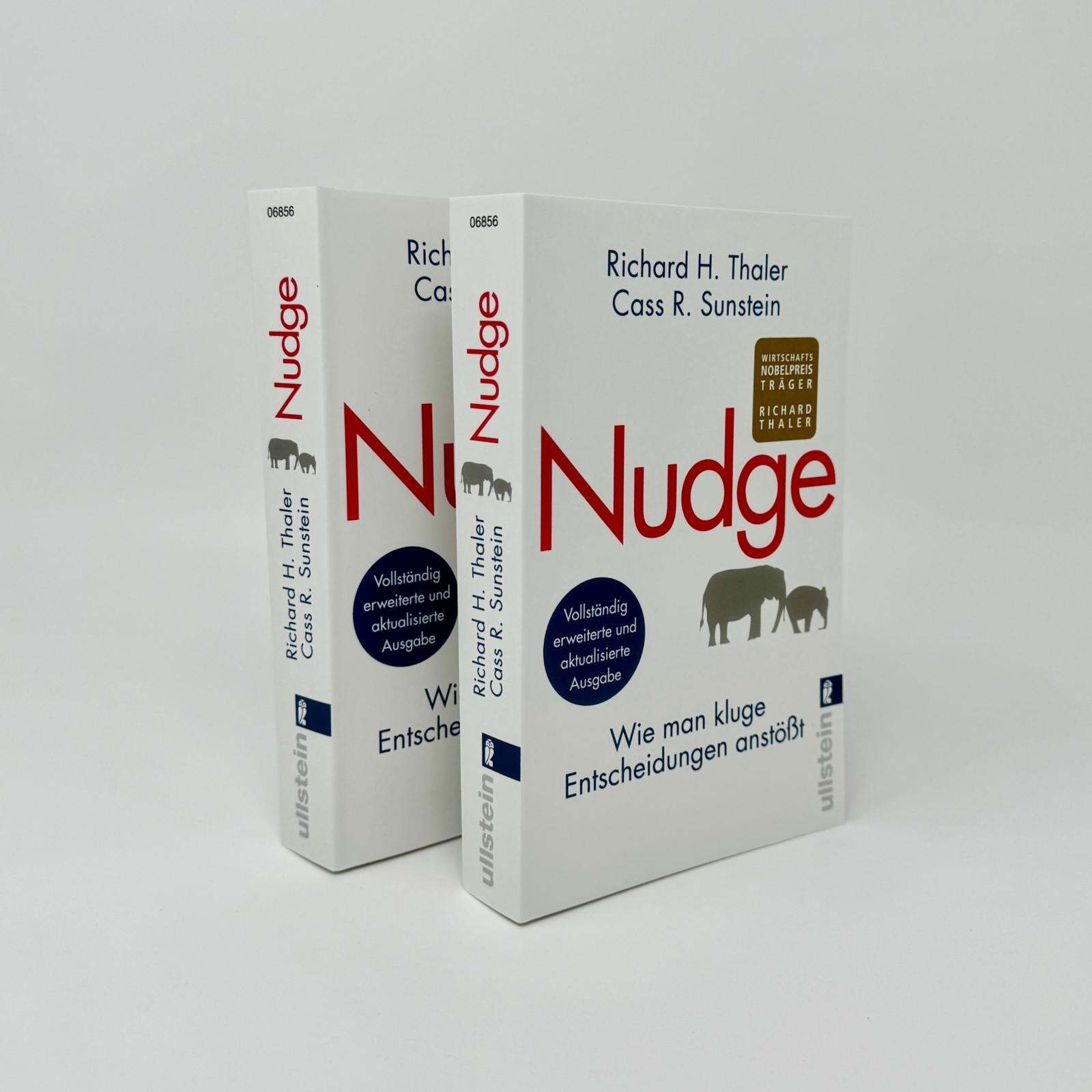 Beispielinhalt (Bild) Nudge