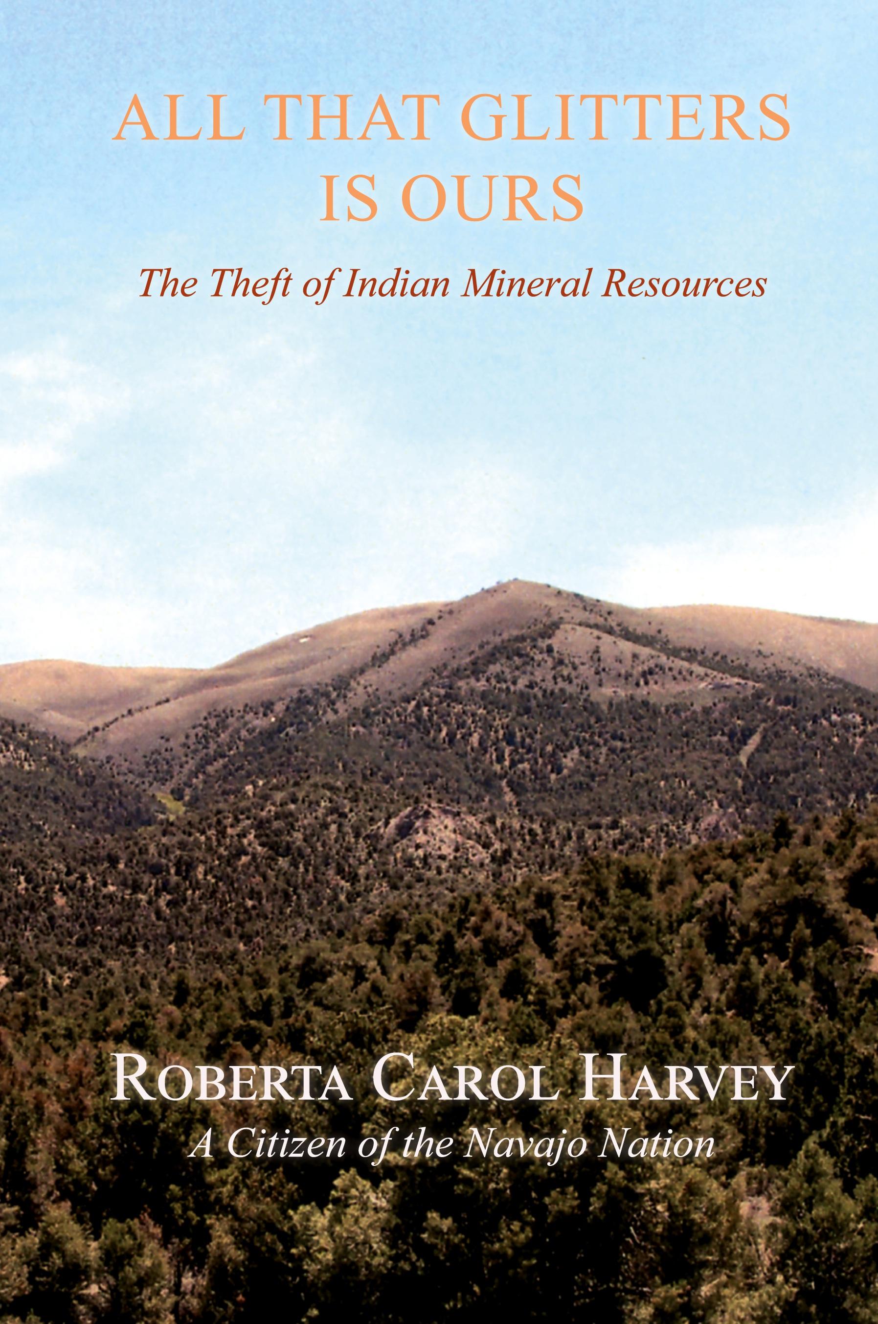 Vorderes Coverbild All That Glitters Is Ours