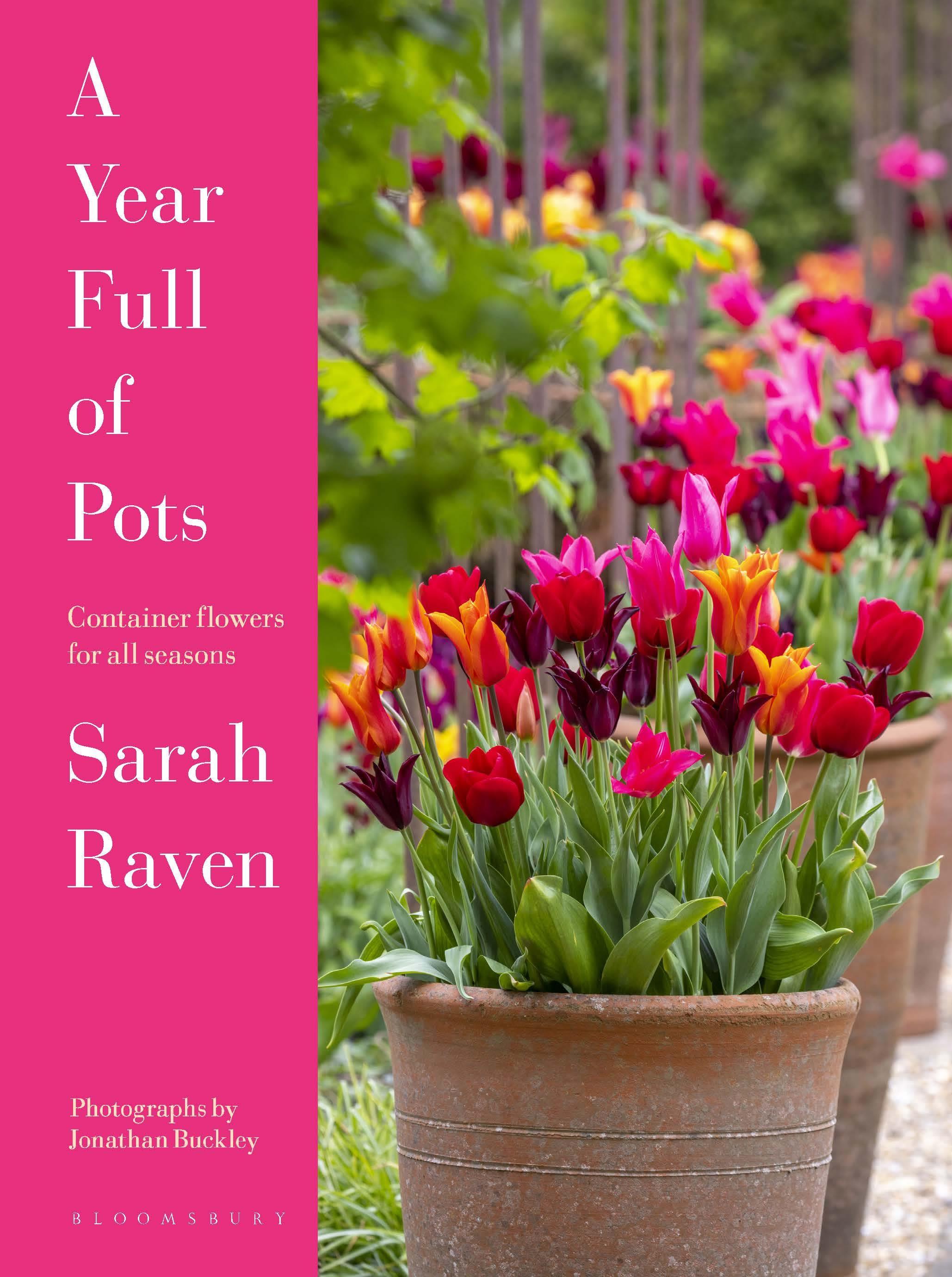 Vorderes Coverbild A Year Full of Pots