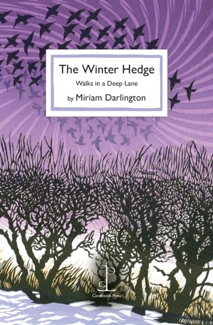 Vorderes Coverbild The Winter Hedge