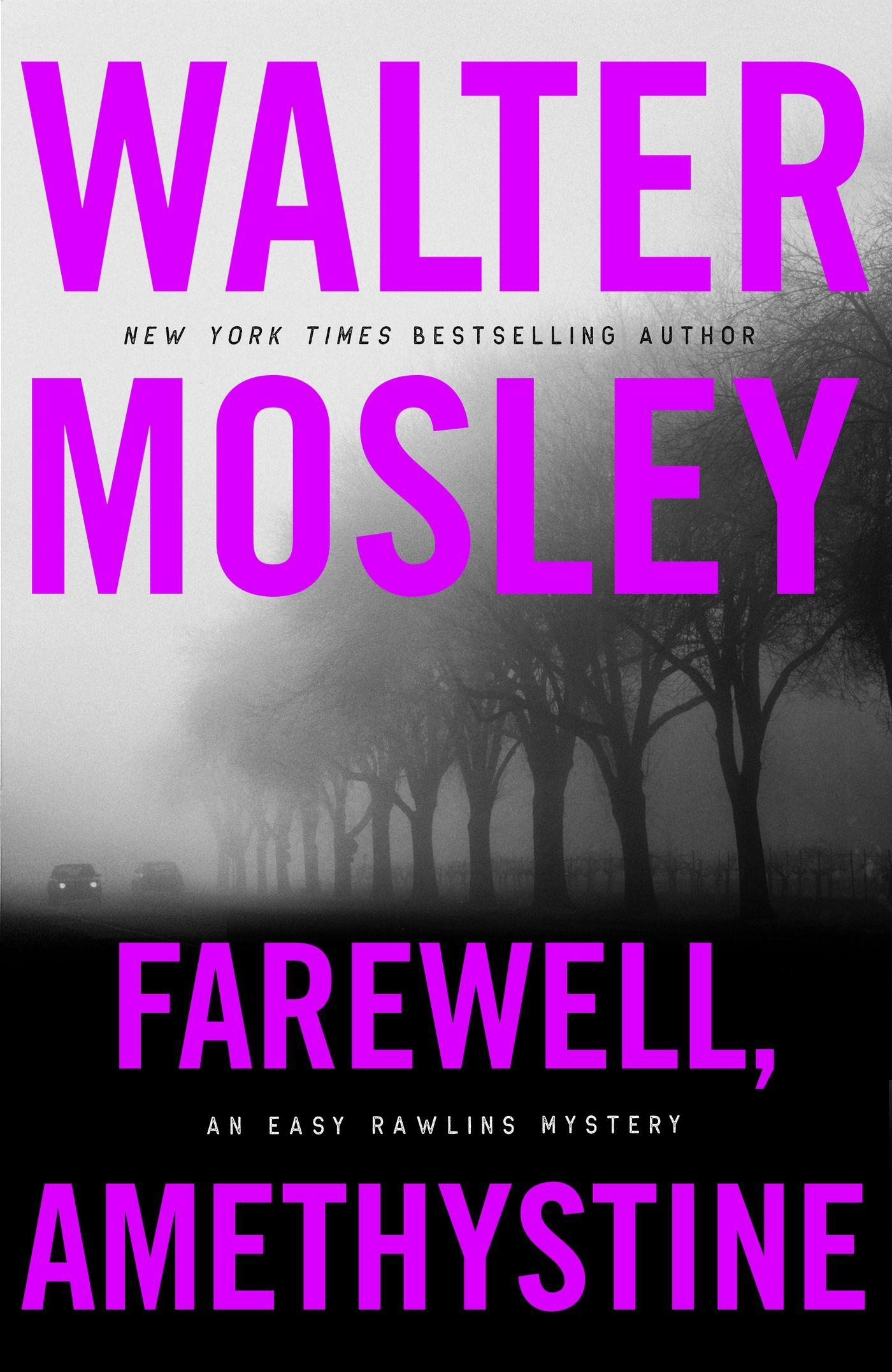 Vorderes Coverbild Farewell, Amethystine